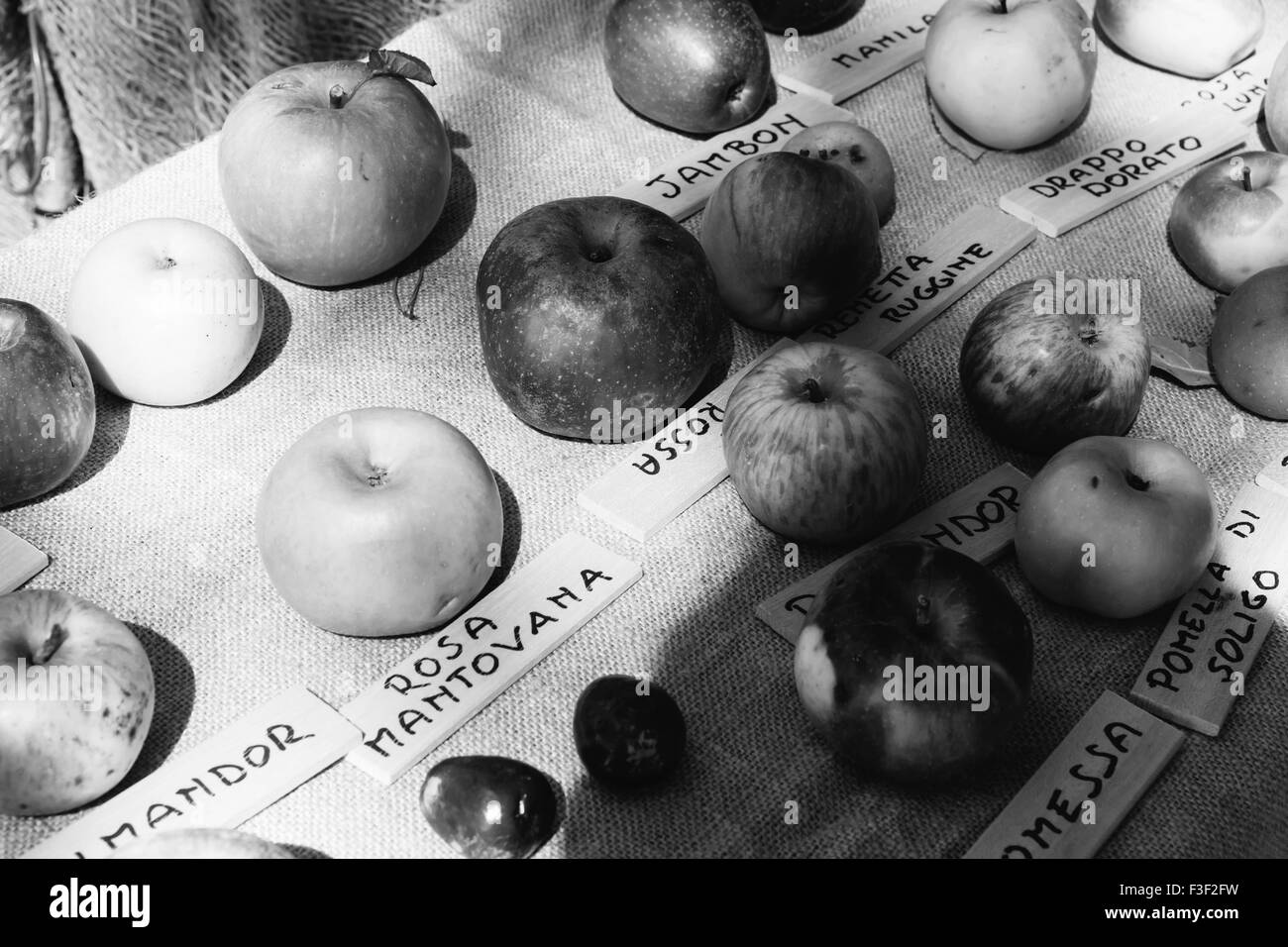 Apple fruit identification hires stock photography and images Alamy