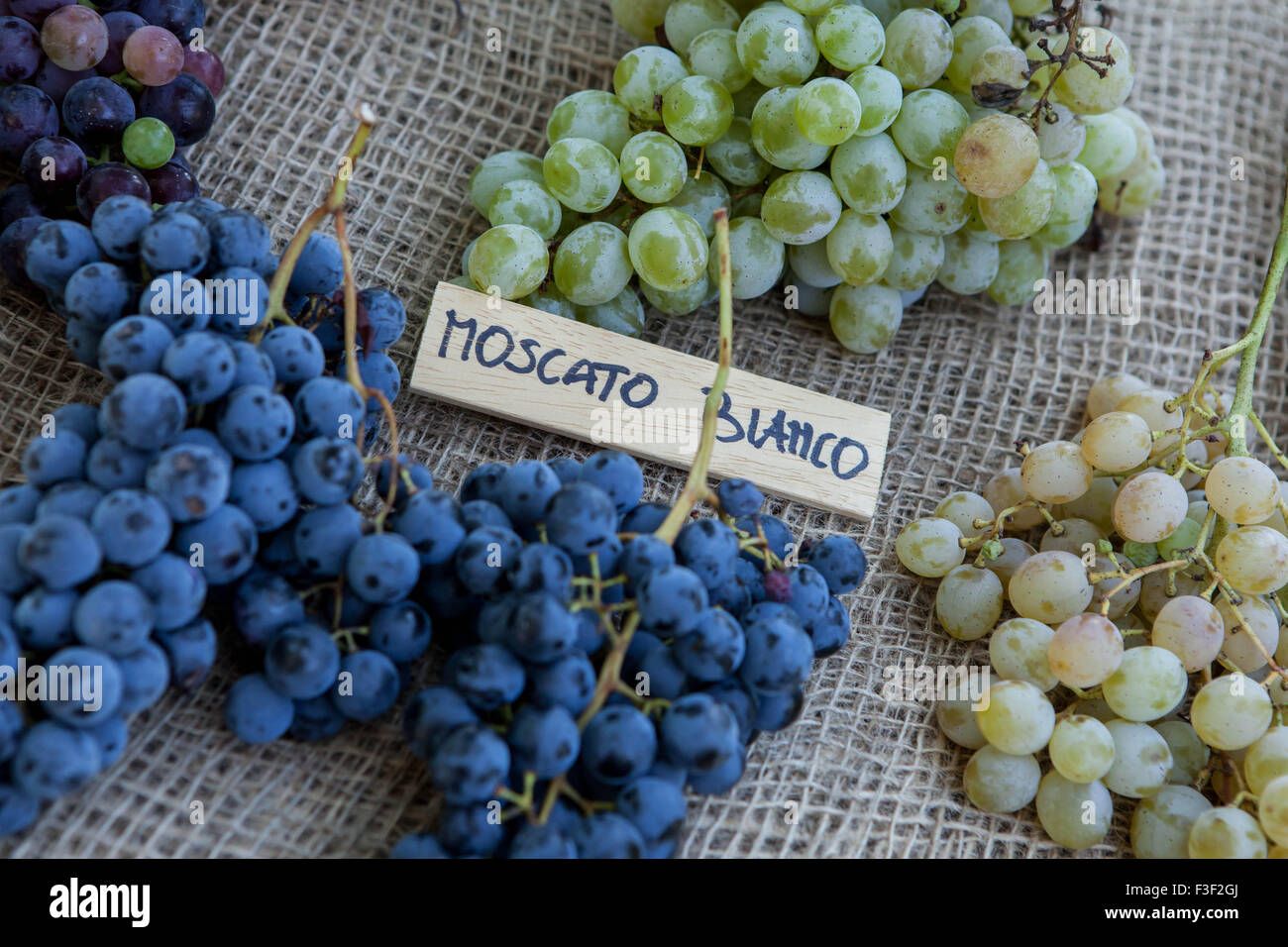 Moscato grapes on display at an Italian Farmers' Market Stock Photo Alamy