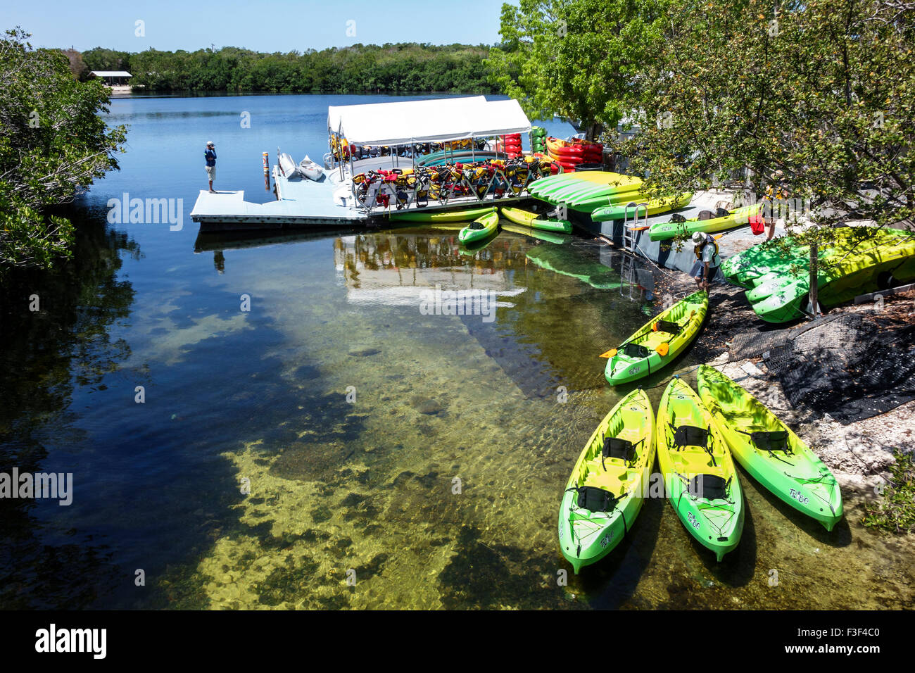 Key Largo Florida Keys,John Pennekamp Coral Reef State Park,Largo Sound,South Creek,red mangrove,kayaks,rental,kayaking,paddling,FL150508008 Stock Photo