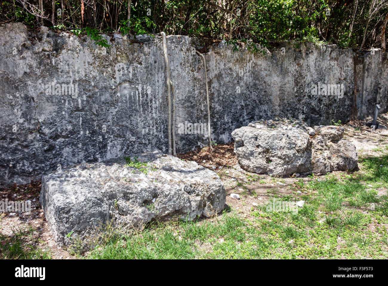 Florida Keys,Islamorada,Windley Key Fossil Reef Geological State Park,historic coral quarry