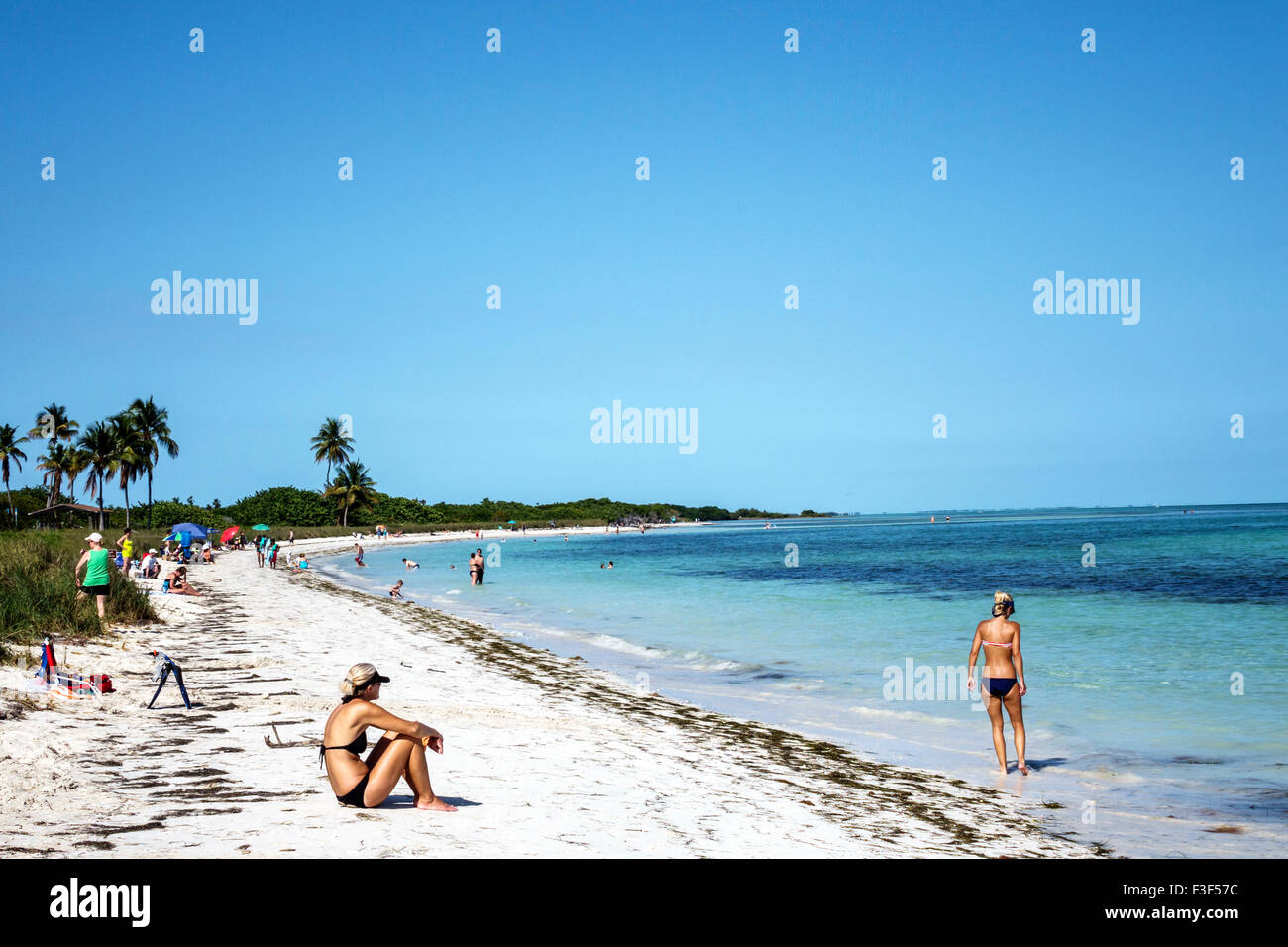 Florida Keys,Big Pine Key,Bahia Honda State Park,Atlantic Ocean,beach,sunbathers,FL150508043 Stock Photo