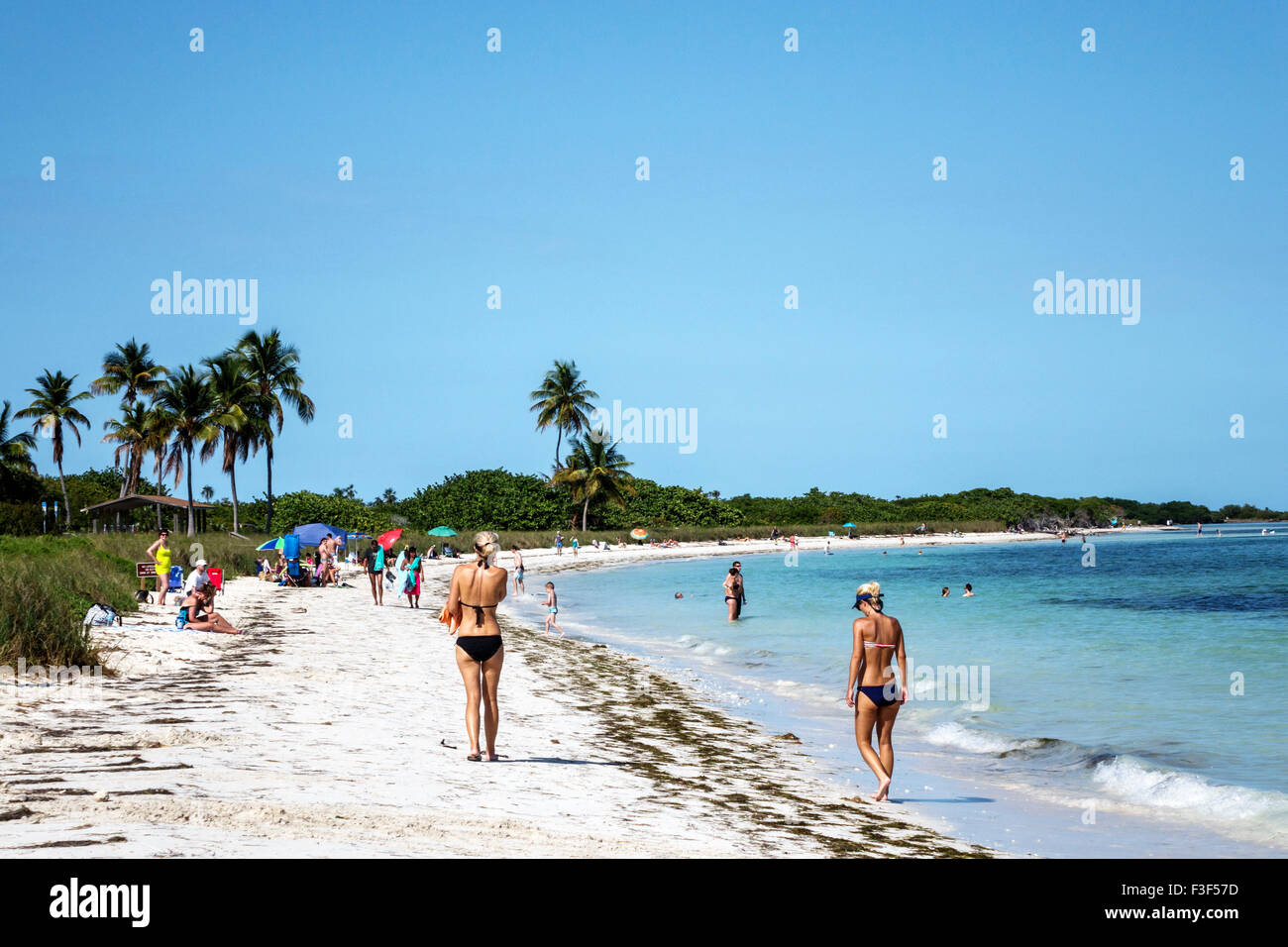 Florida Keys,Big Pine Key,Bahia Honda State Park,Atlantic Ocean,beach,sunbathers,FL150508044 Stock Photo