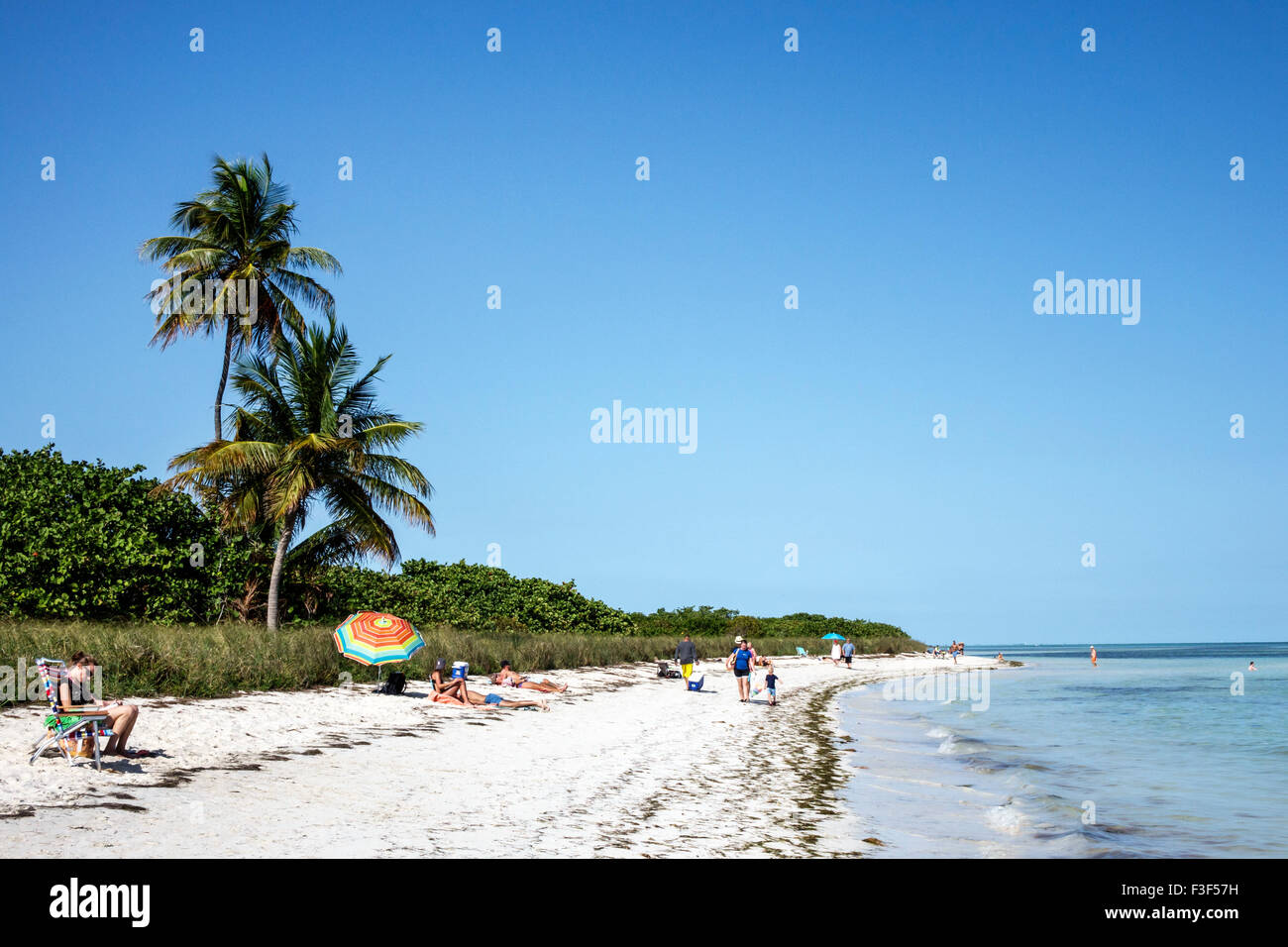 Florida Keys,Big Pine Key,Bahia Honda State Park,Atlantic Ocean,beach,sunbathers,palm trees,FL150508047 Stock Photo