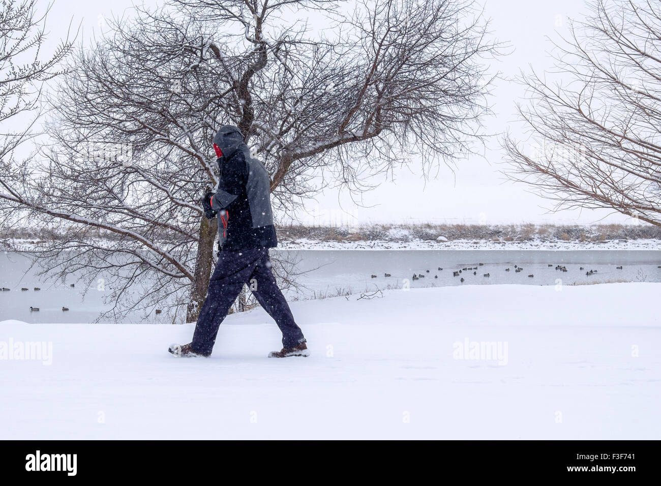 A  bundled up man exercises and walks in snowy weather next to the North Canadian river in Oklahoma, USA Stock Photo