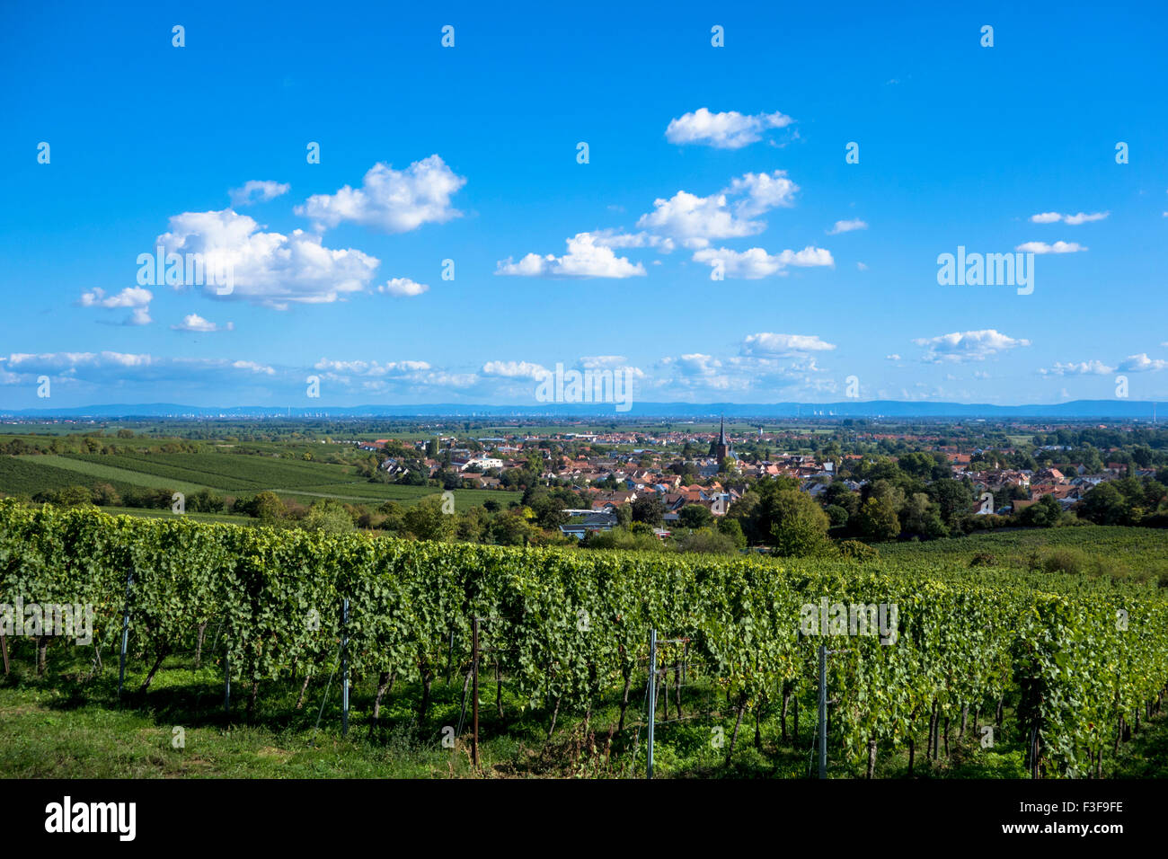 Forst in Rhineland-Palatinate, GErmany Stock Photo