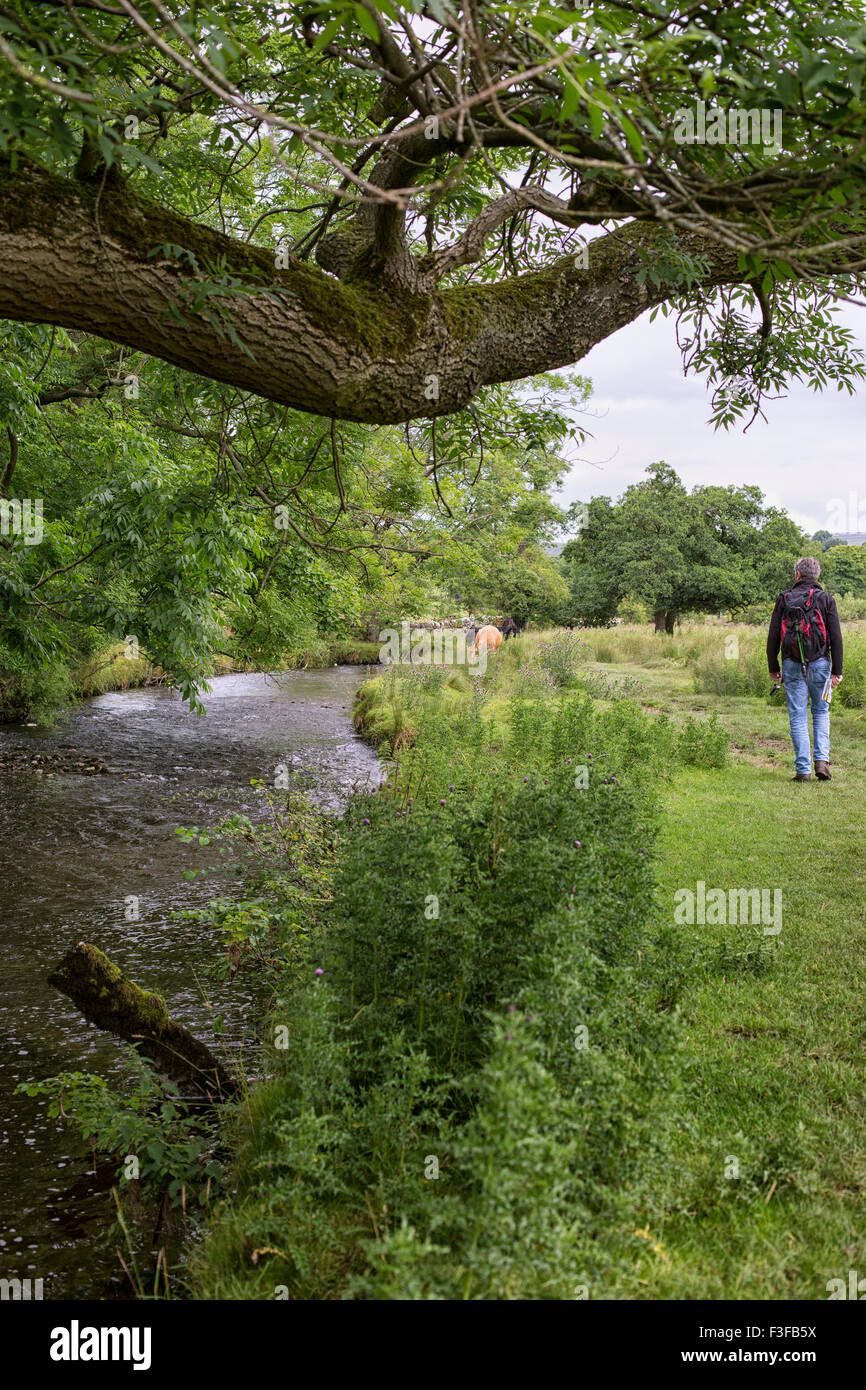 Man walking along a brook in pastoral landscape Stock Photo