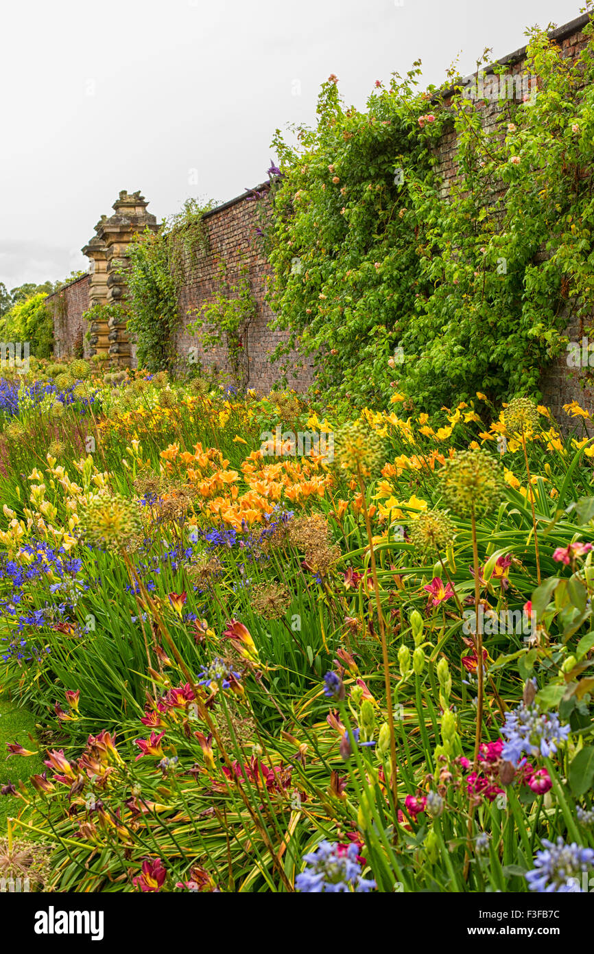 Flower border in an English walled garden Stock Photo - Alamy