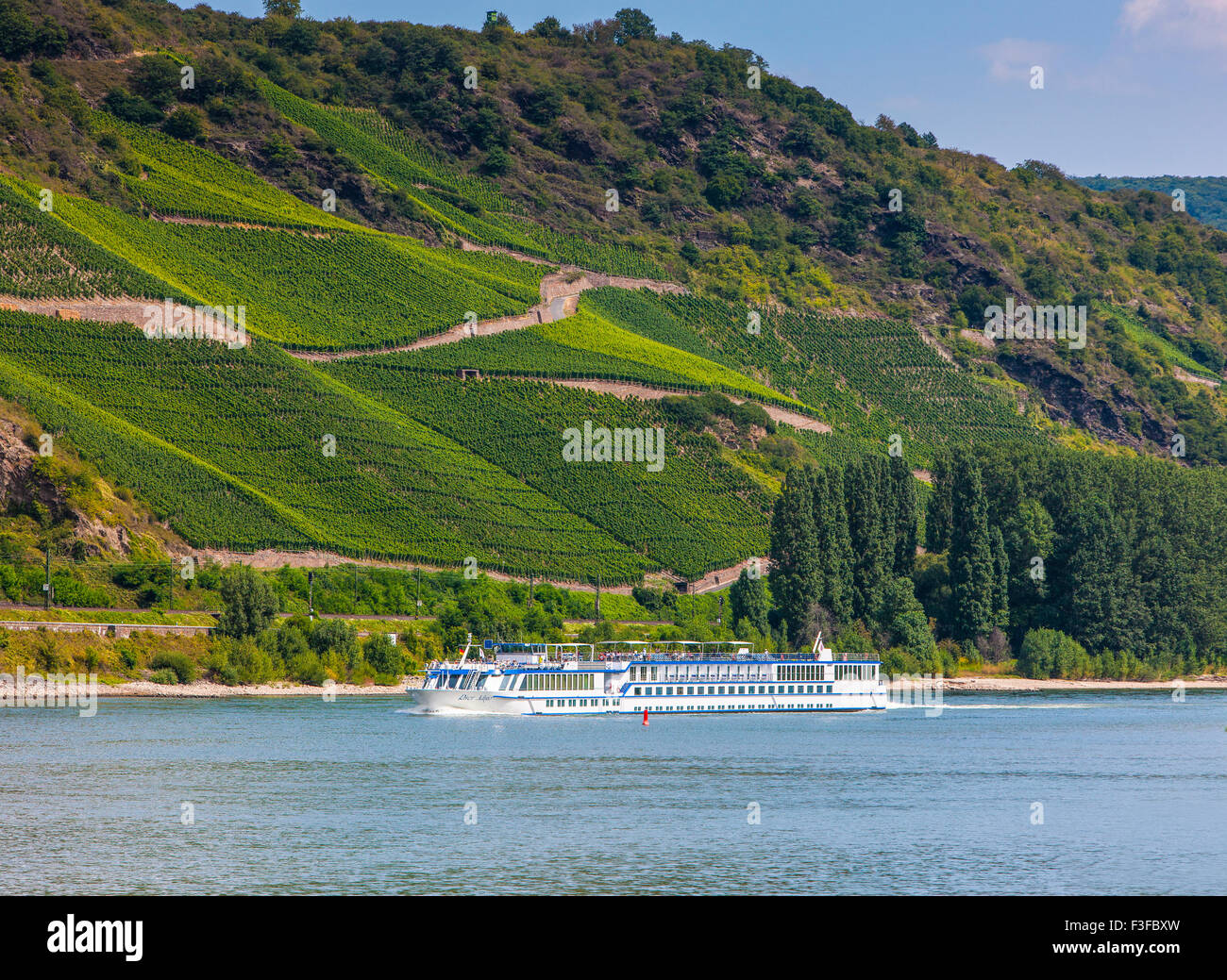 Cruise ship passing vineyards, Middle Rhine, Germany Stock Photo