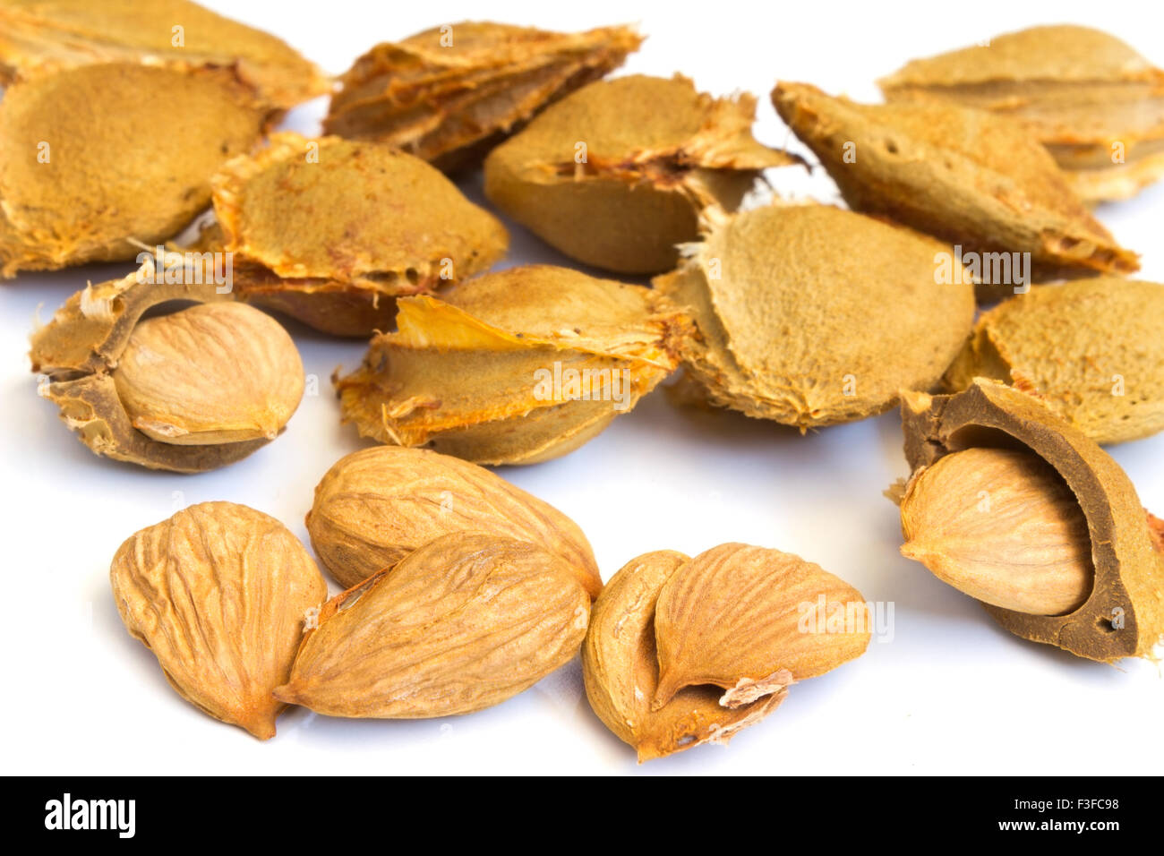 Apricot seed hires stock photography and images Alamy