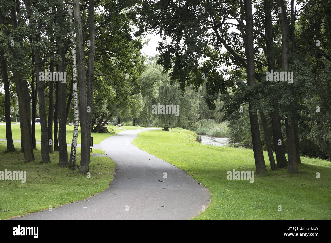 Winding path in garden, Backaplan, Gothenburg, Vastra Gotaland County, Sweden, Nordic countries, Europe Stock Photo