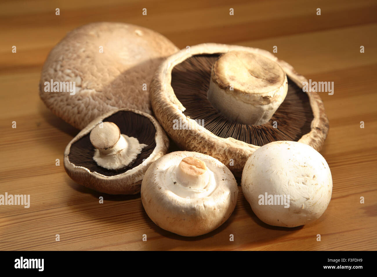 Vegetable ; Portobello mushrooms white button mushroom Stock Photo Alamy