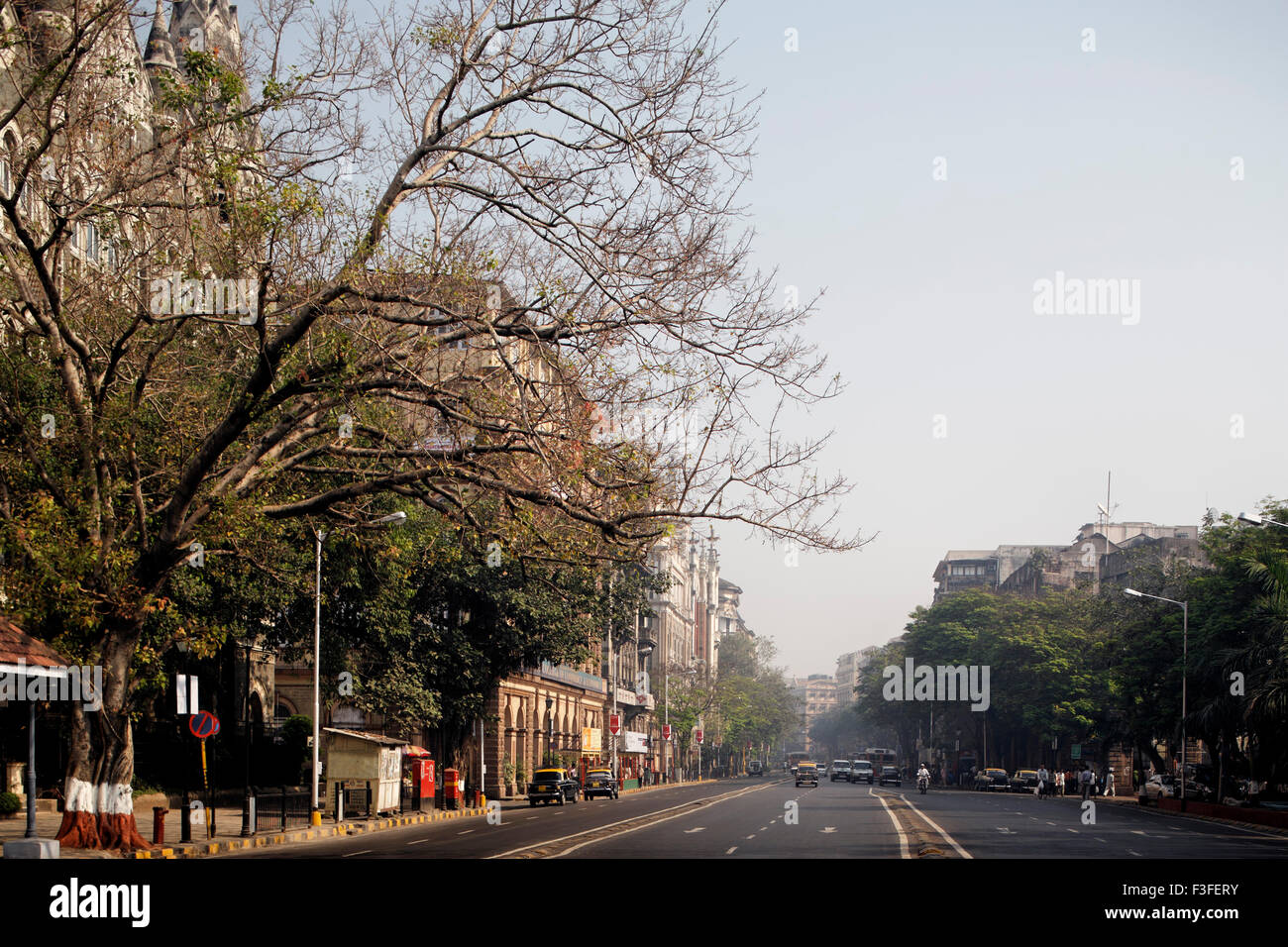 aad 129146 - Hornby road now D. N. Road ; Bombay Mumbai ; Maharashtra ; India Stock Photo
