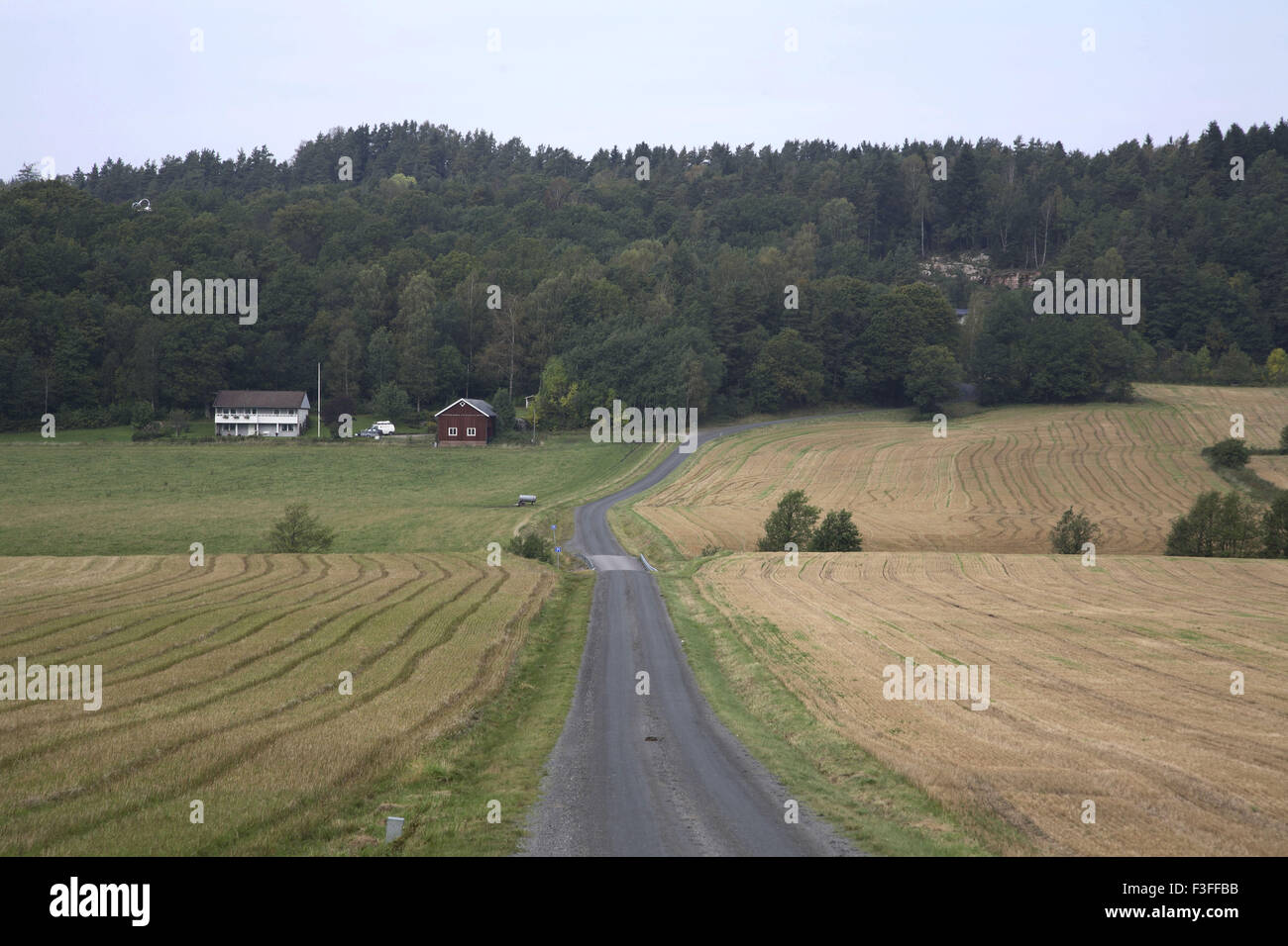 Farm houses with small road cultivated field near Skepllanda ; Sweden ; Scandinavia Stock Photo