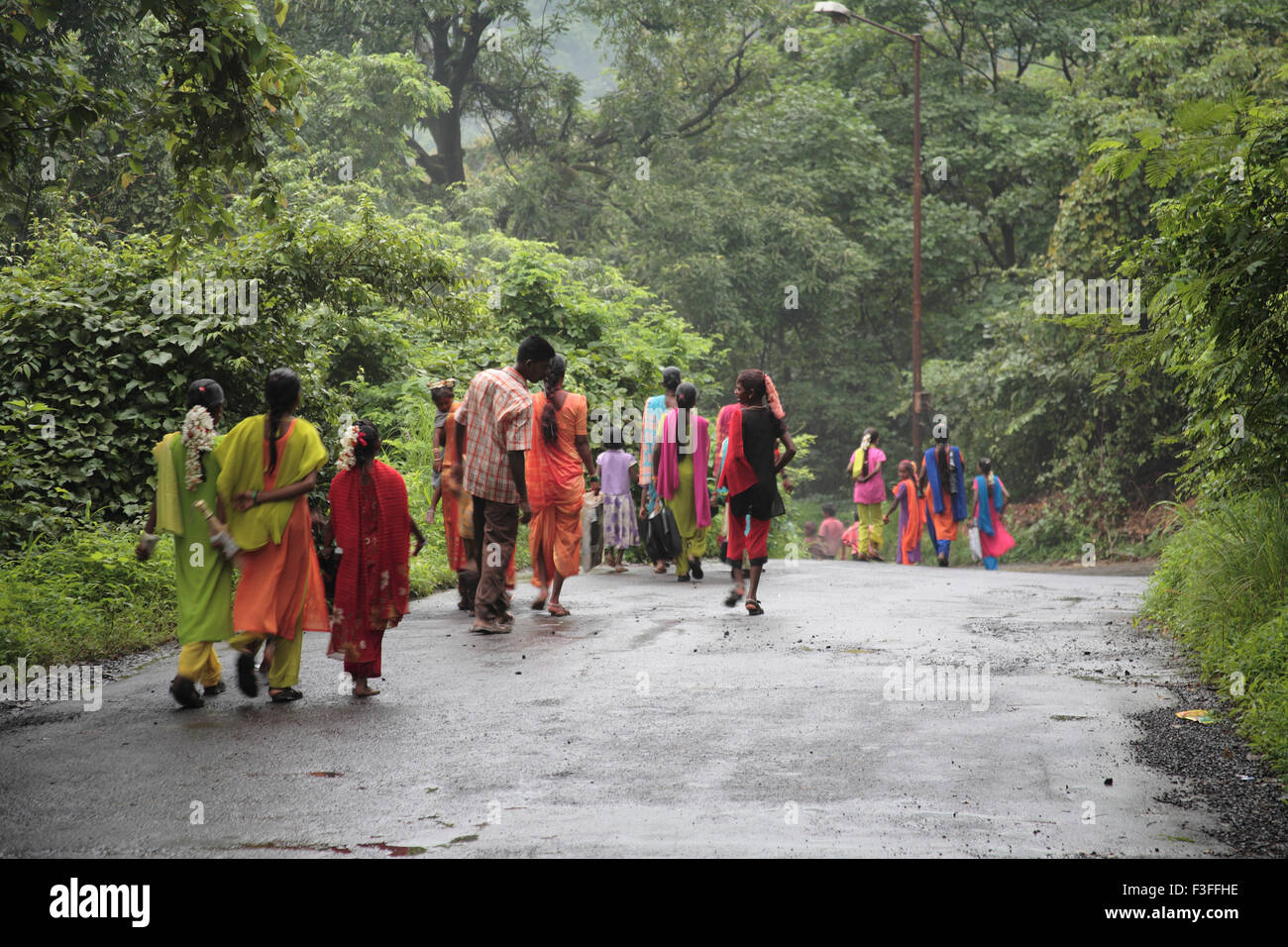 Adivasi ; Tribal young girls and a boy walking down the hills during monsoon ; in Thane District ; Maharashtra ; India Stock Photo