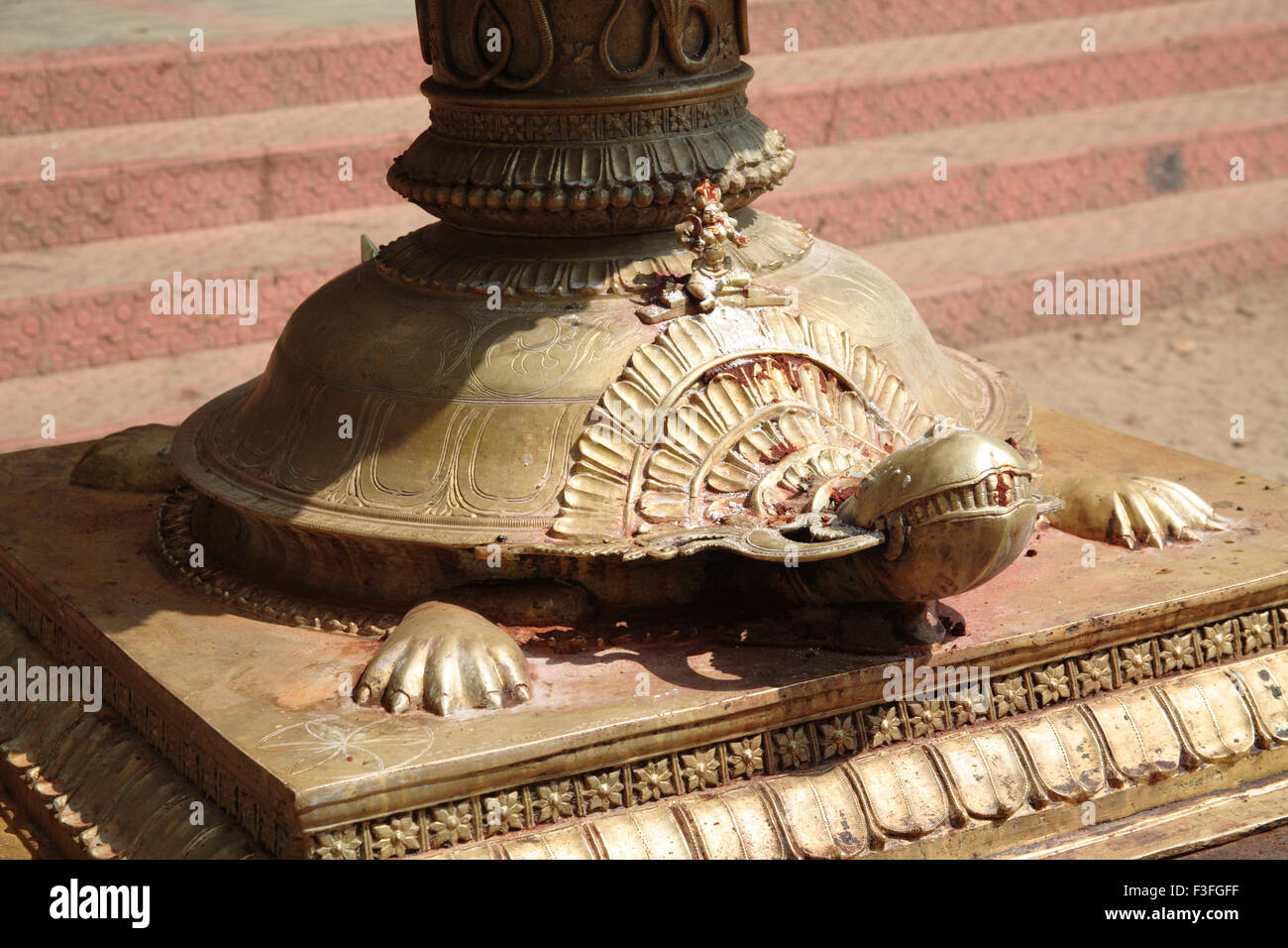 Tortoise at base of vilakku maadam multi tiered brass lamps in Bhagwathi temple ; Kodungalloor ; Kerala ; India Stock Photo