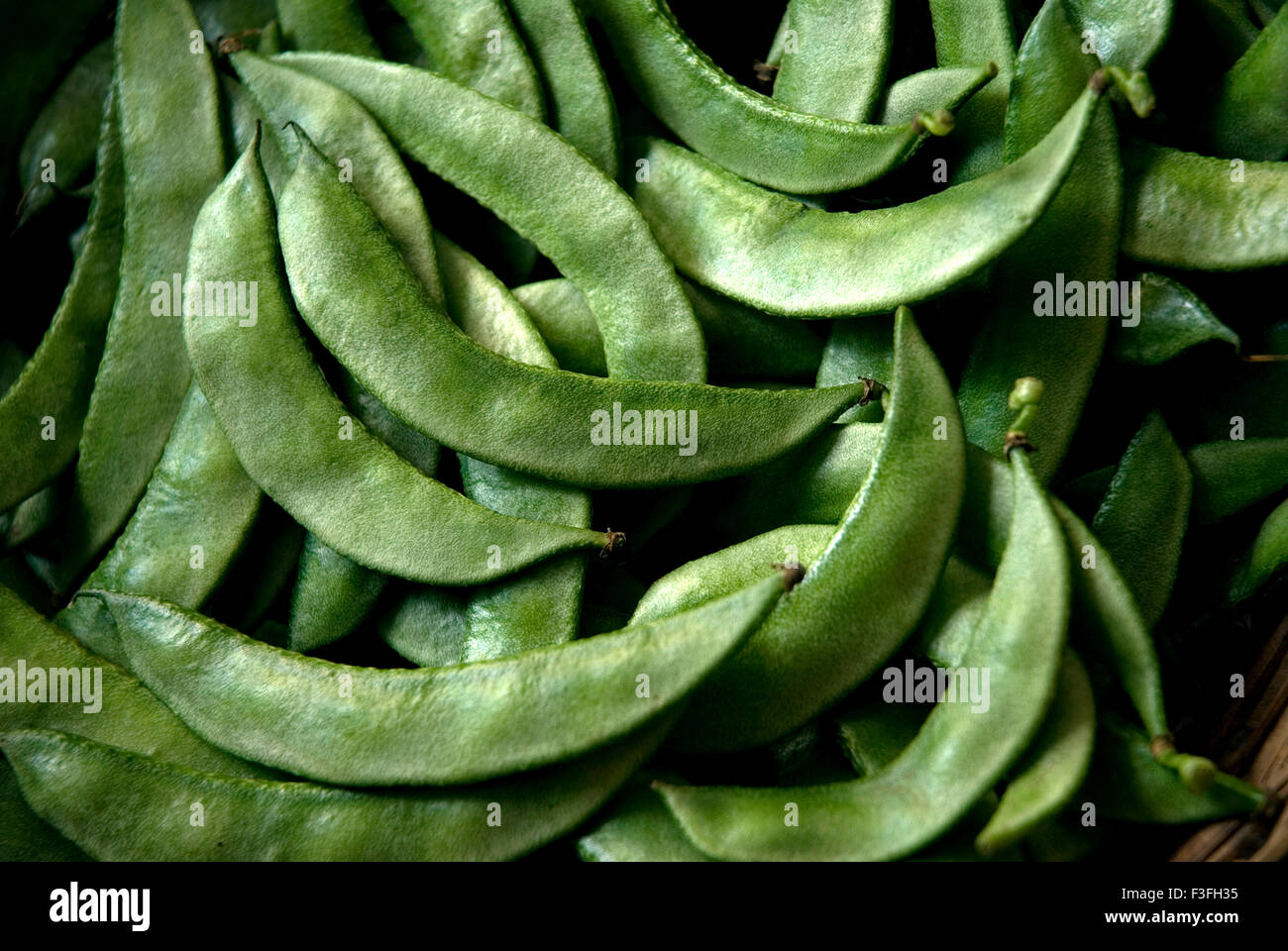 Vegetable ; Broad beans Papdi Stock Photo Alamy