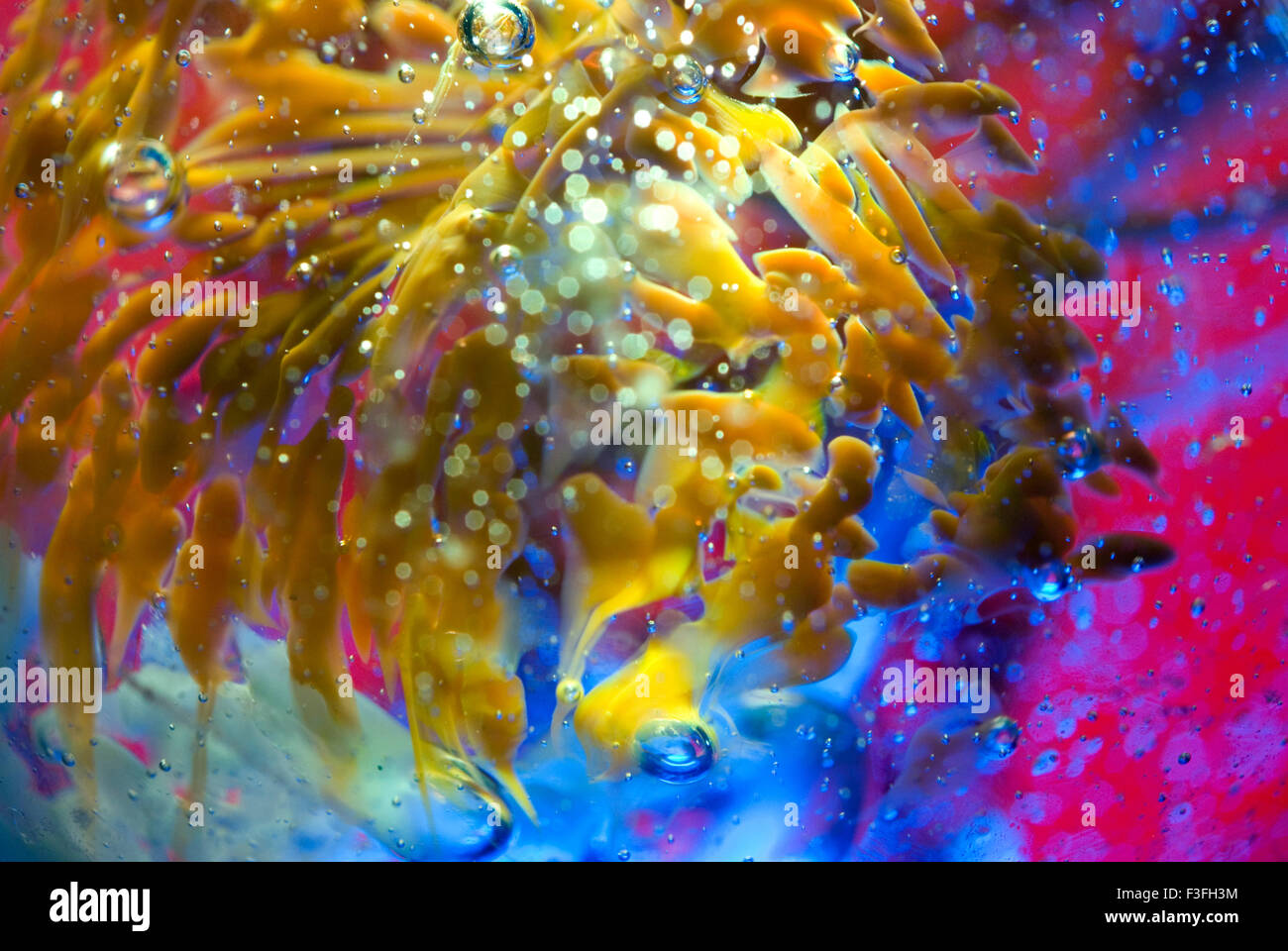 Glass paperweight closeup Stock Photo Alamy