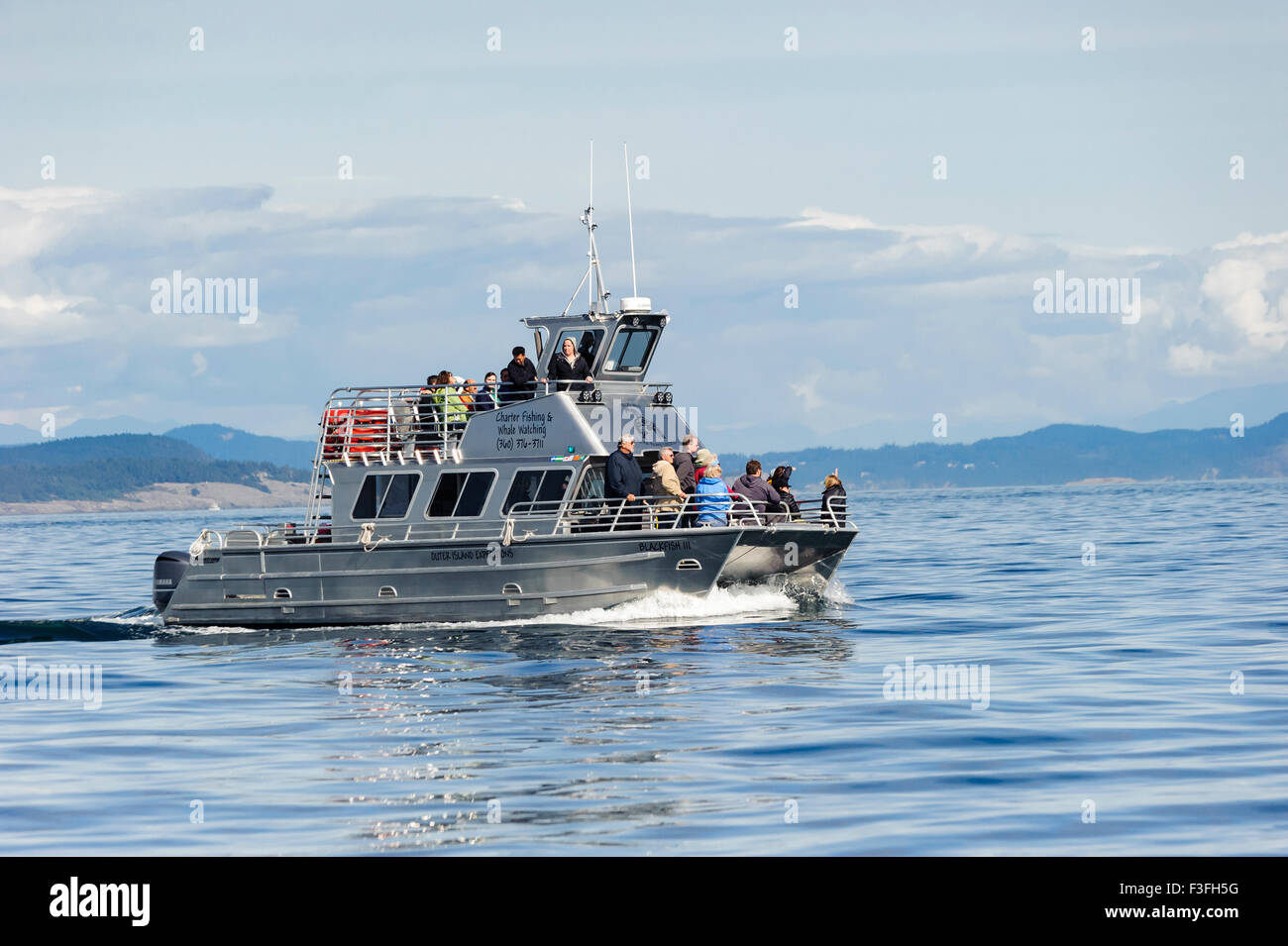 Whale watching Stock Photo