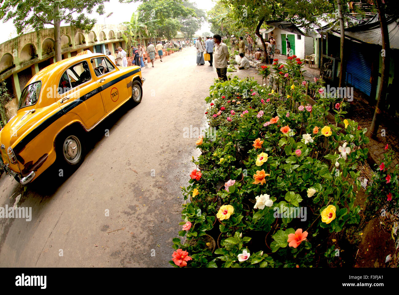 Yellow Ambassador Taxi ; Calcutta ; Kolkata ; West Bengal ; India ; Asia Stock Photo