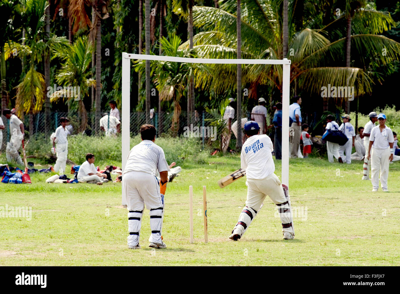 Summer morning cricket camp at Kolkata Maiden by School children ; Kolkata or Calcutta ; West Bengal ; India Stock Photo