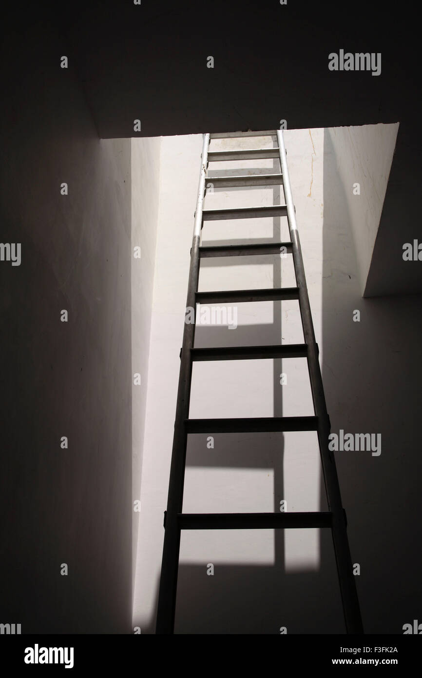 Ladder going up words graphic design NO PROPERTY RELEASE Stock Photo