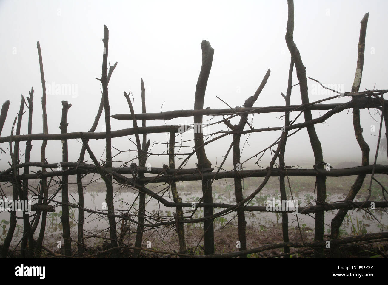 wood fence, Kerala, India, Asia Stock Photo Alamy