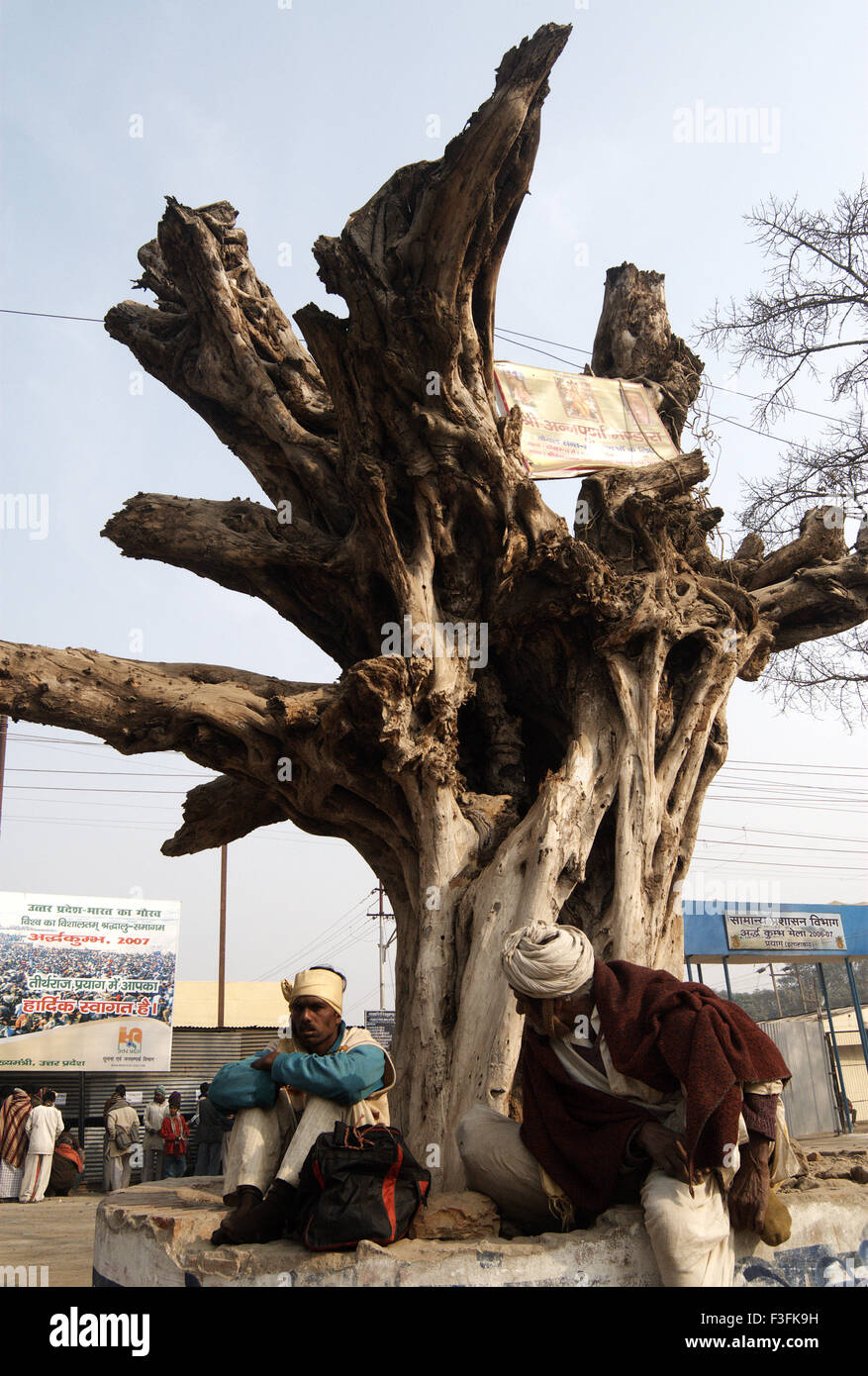 Pilgrims ; devotees sit beneath a huge dead banyan tree at the Ardh Kumbh Mela ; ; ; India Stock Photo