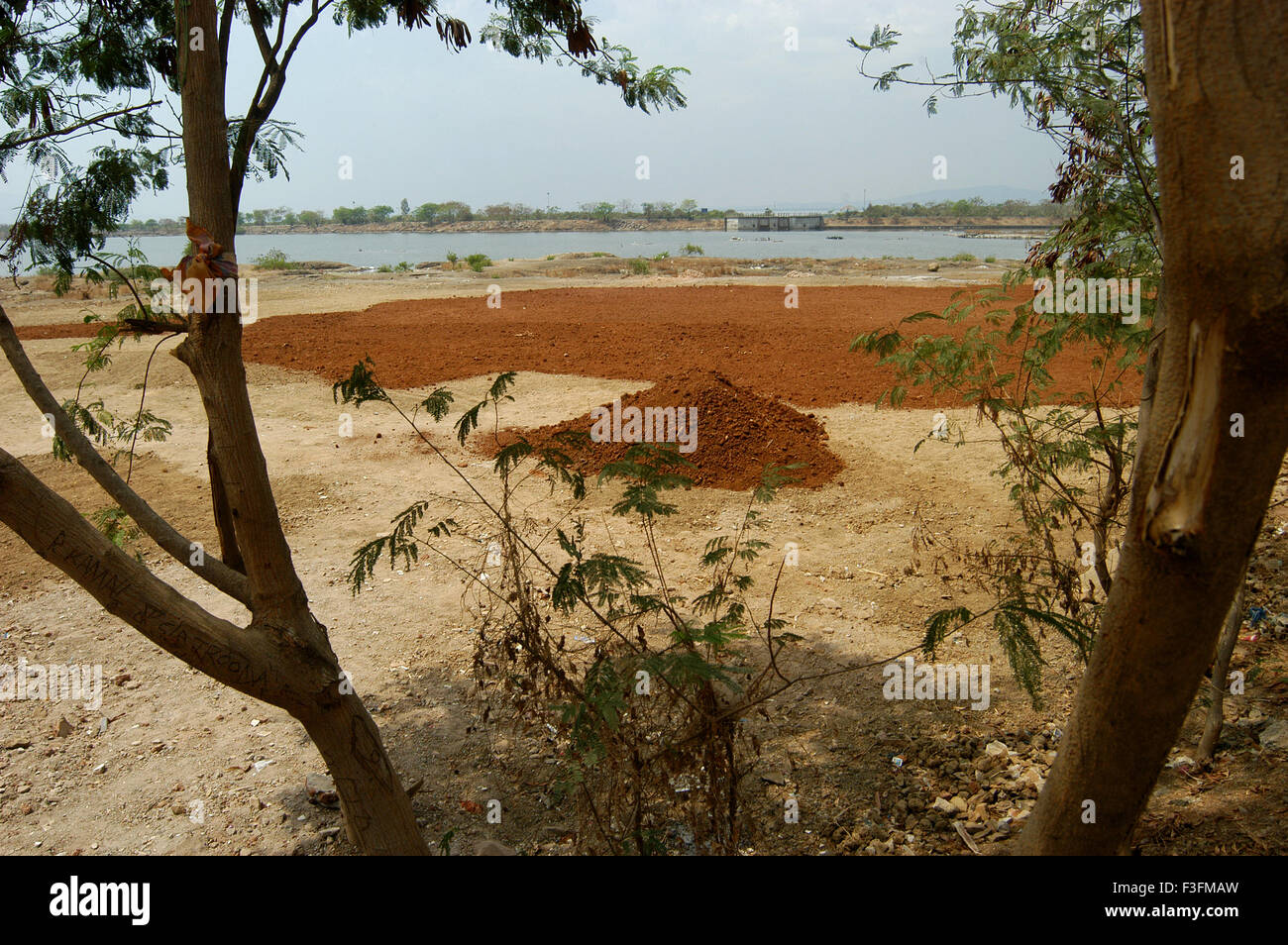 Red mud scattered for tree plantation program near the creek in Bombay now Mumbai ; Maharashtra ; India Stock Photo