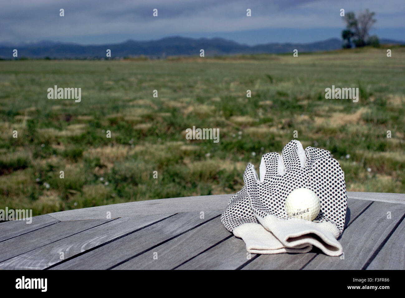 Baseball white gloves, Denver, Colorado, USA, United States of America