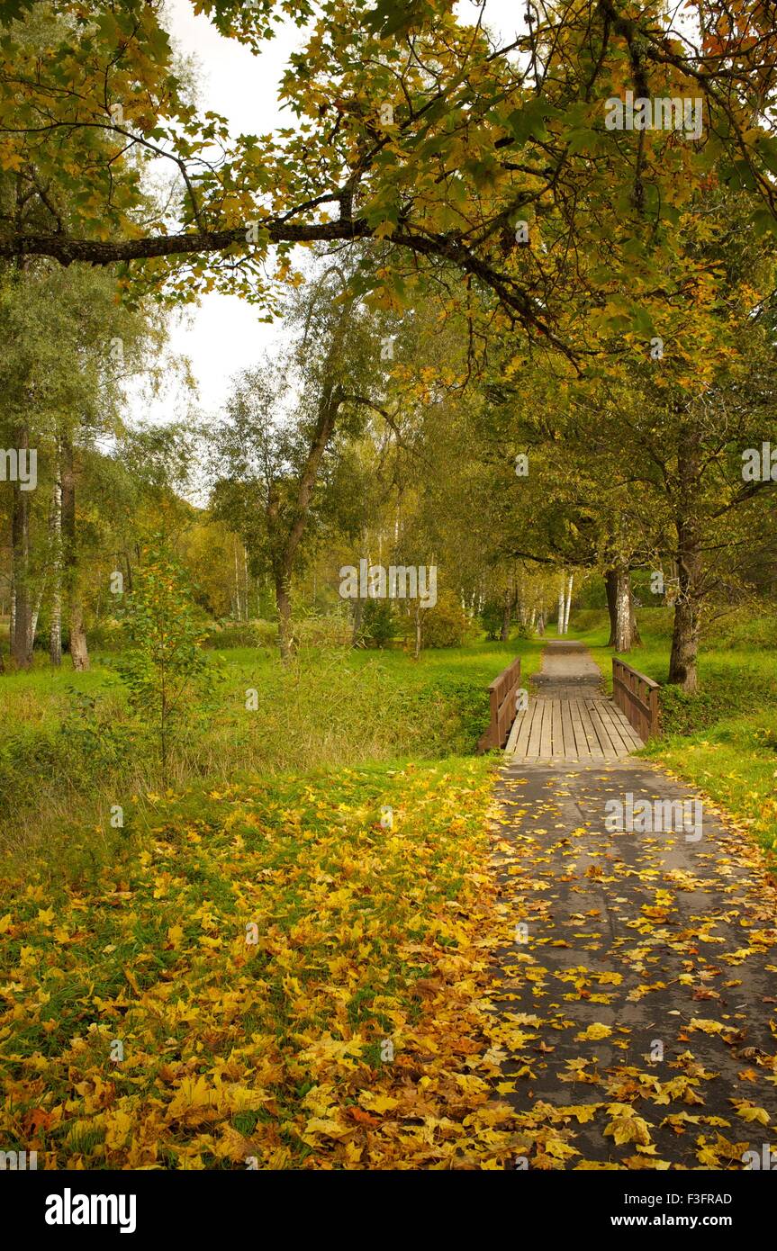 Road in a autumn park Stock Photo - Alamy