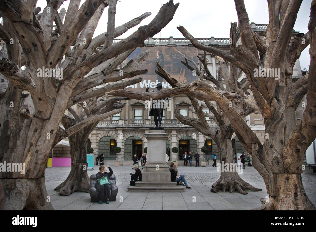 Chinese artist Ai Weiwei new exhibition with Tree sculptures in the courtyard of London's Royal Academy, Piccadilly, London, UK Stock Photo