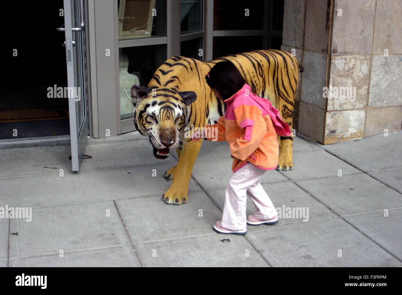 Girl saw tiger wanted to touch Stock Photo