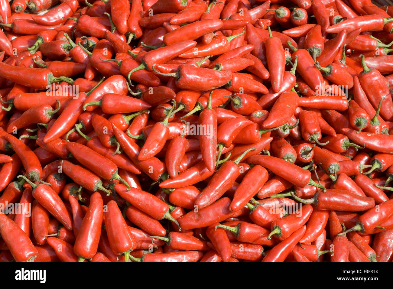 Red Chili for sale Stock Photo Alamy