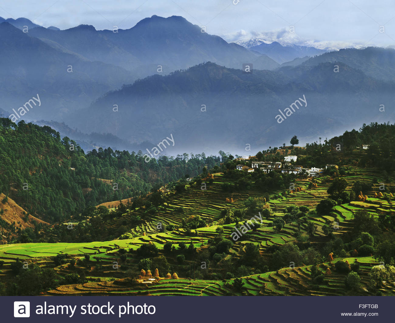 Kumaon hills ; India Stock Photo 88244363 Alamy