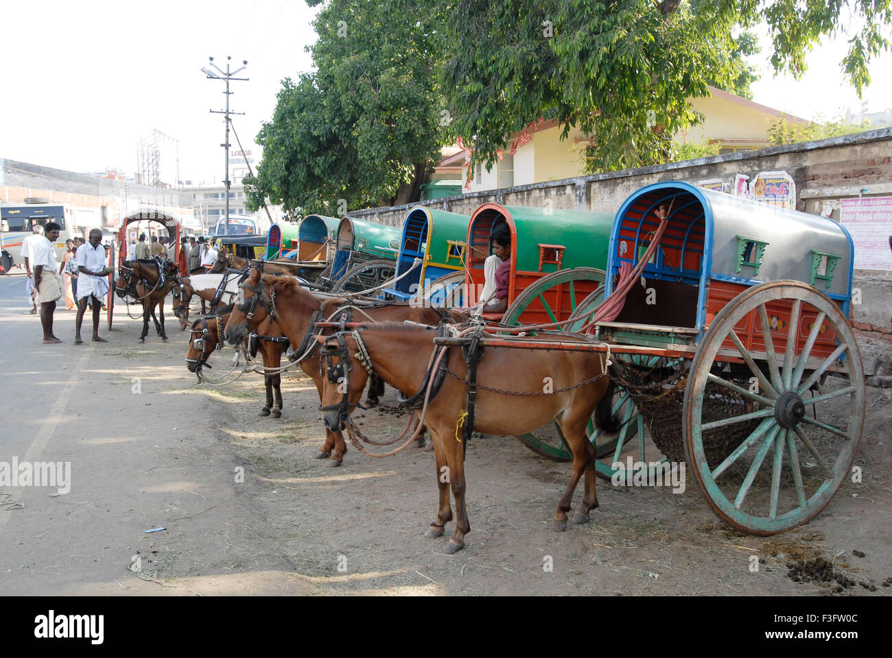 Horse carts ; Jatkas in Palani town; Tamil Nadu ; India Stock Photo Alamy