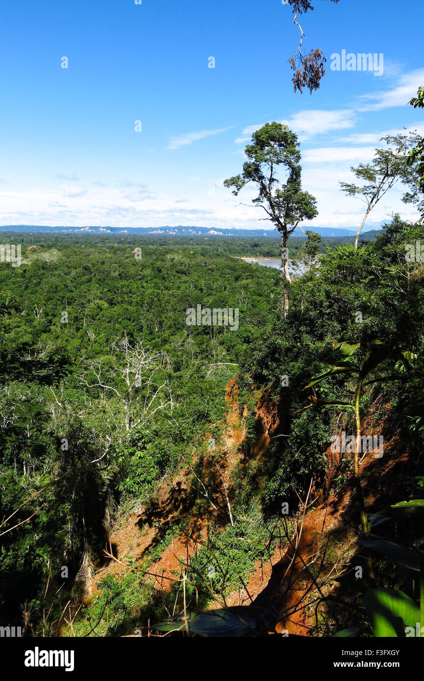 Amazon rainforest deforestation aerial hires stock photography and