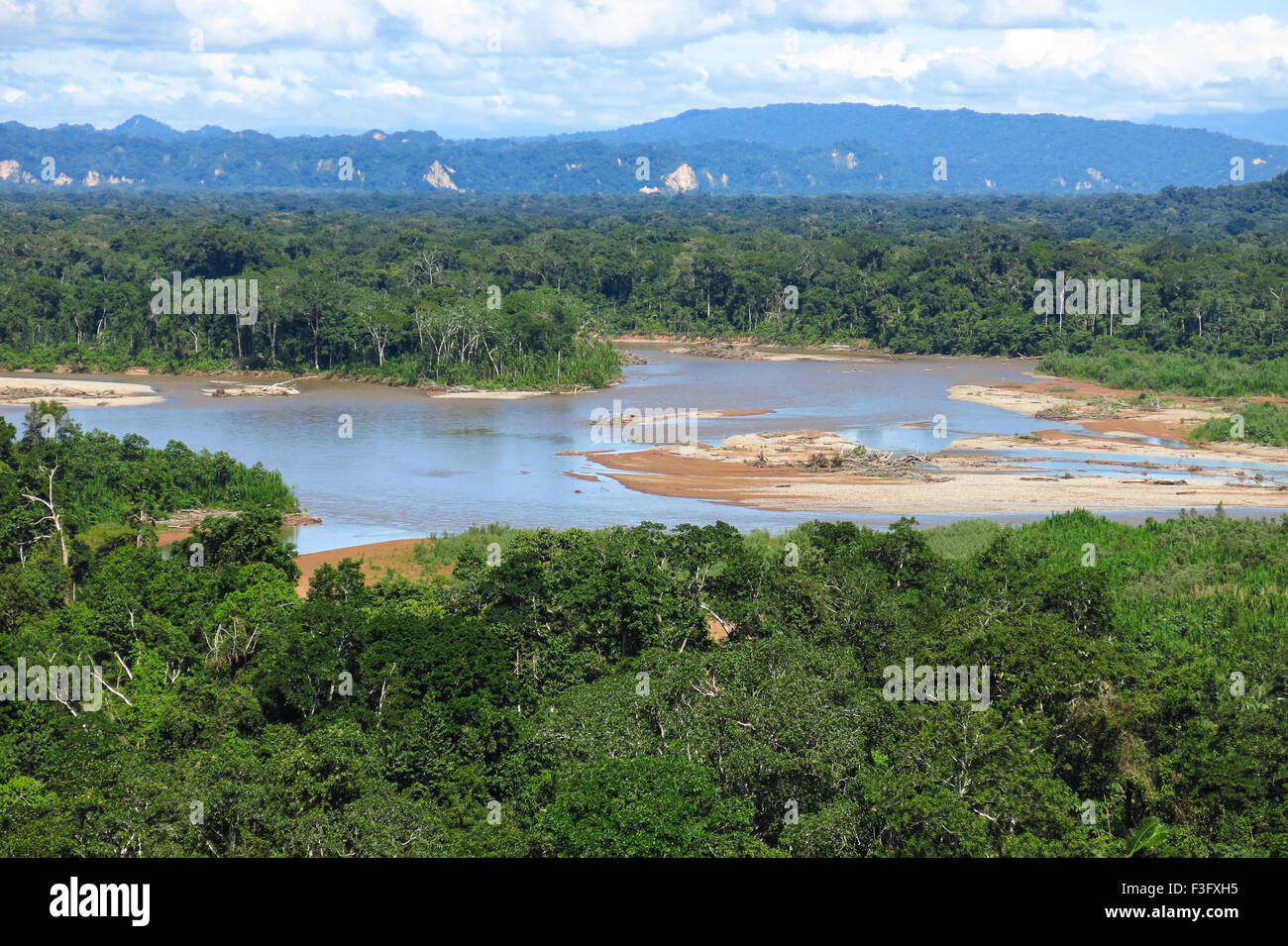 Amazon forest in the Madidi National Park, Bolivia Stock Photo Alamy
