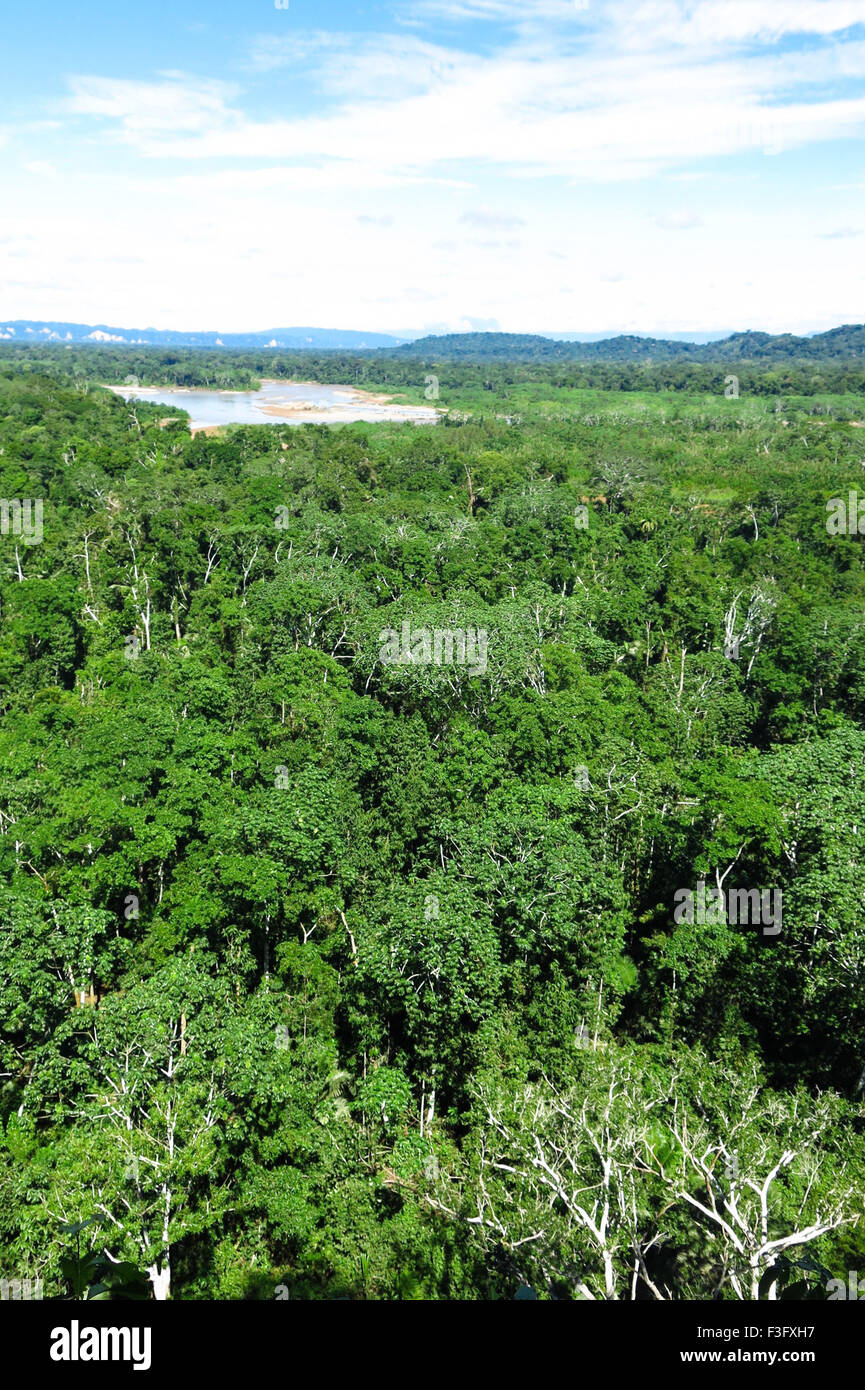 Amazon forest hires stock photography and images Alamy