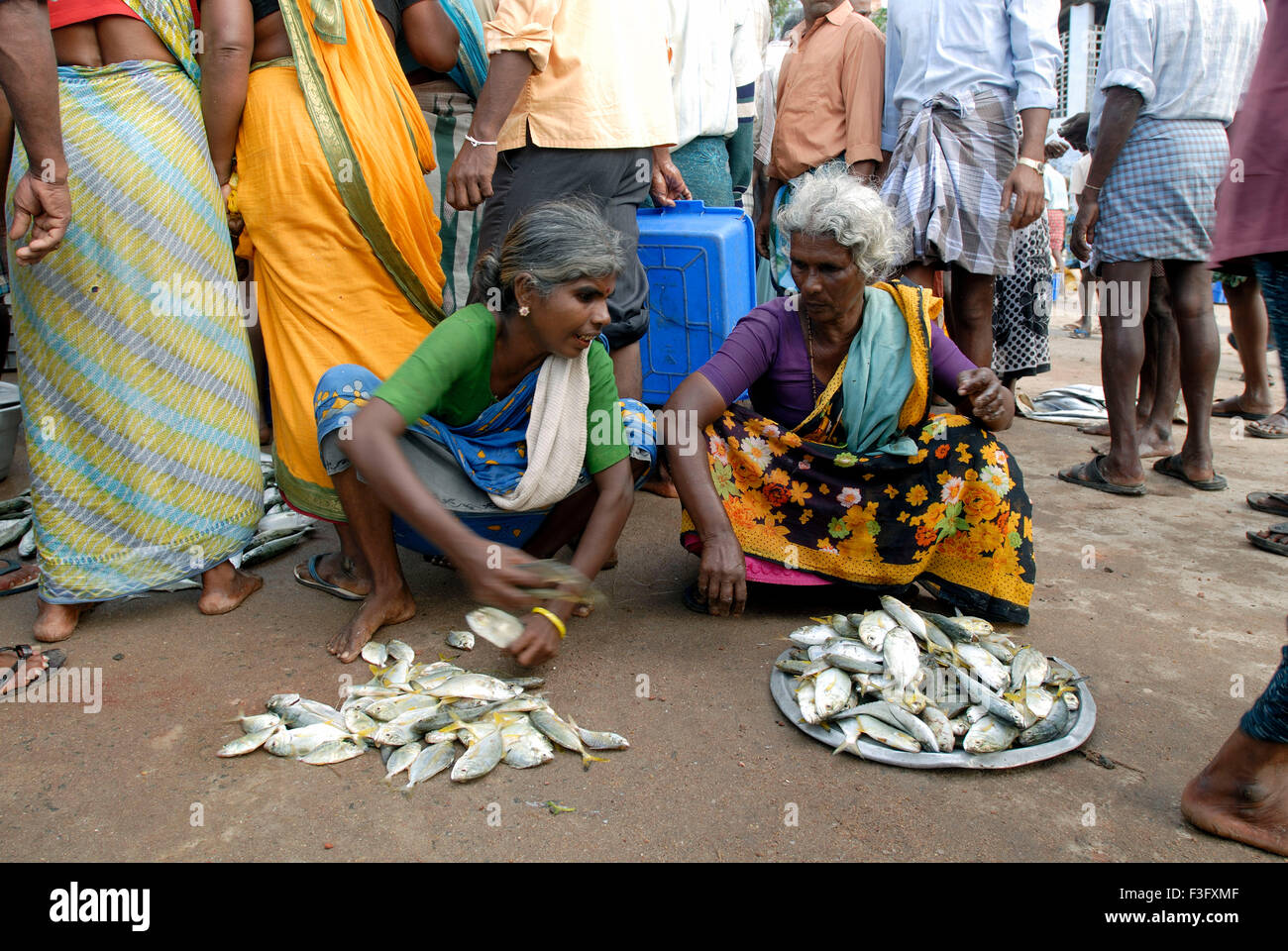 Women selling fresh fish at Kanyakumari ; Tamil Nadu ; India Stock