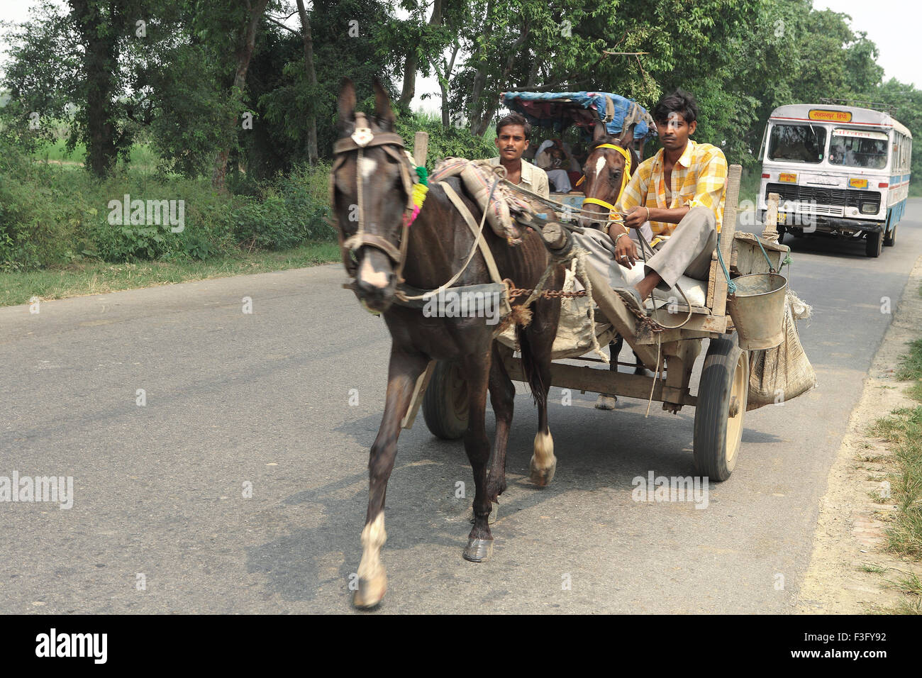 Horse cart with S.T. bus in background on highway at village Nanota ; District Sarahanpur ; Uttar Pradesh ; India Stock Photo