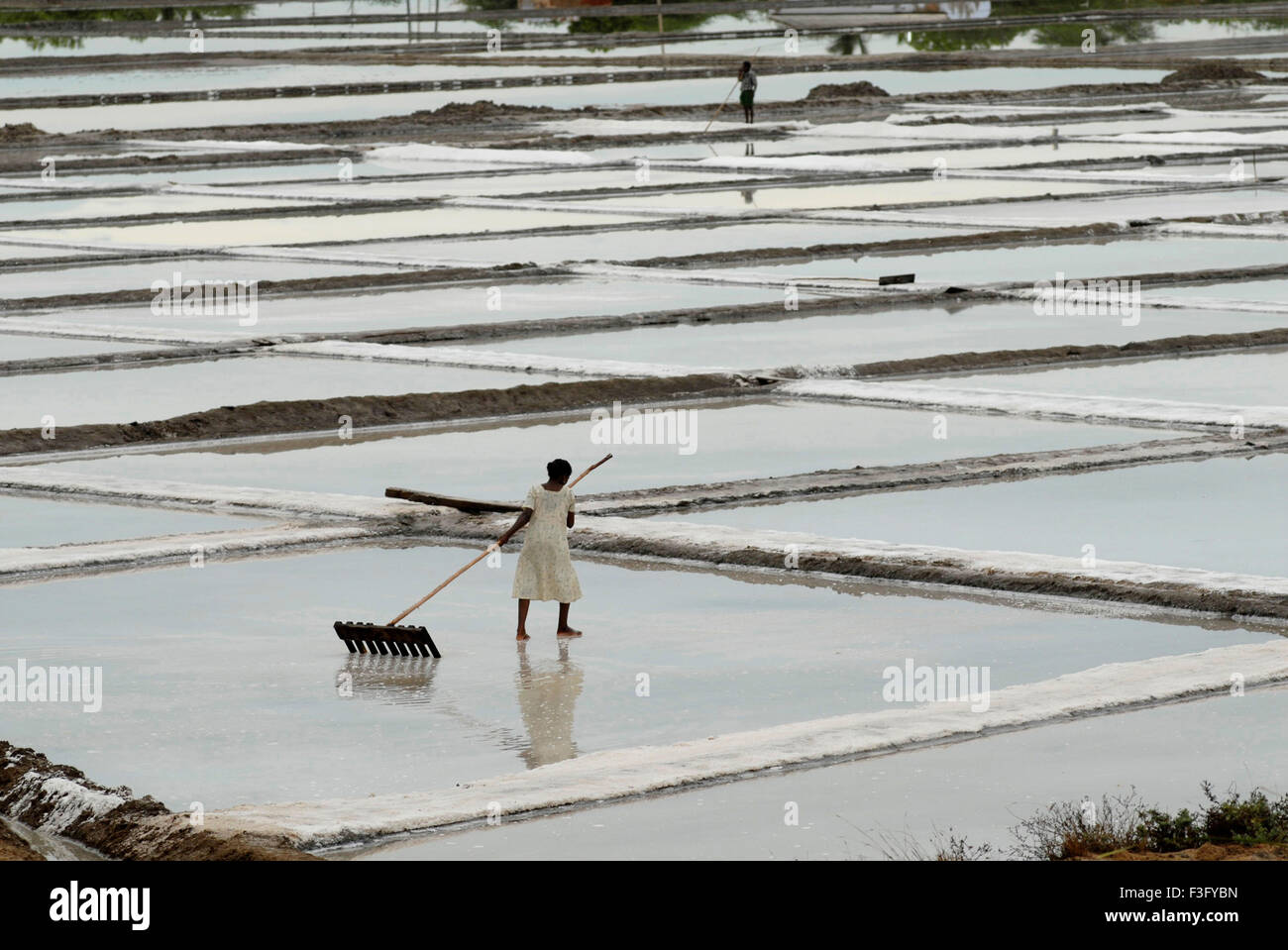 Salt pans thuthukudi tuticorin tamil hires stock photography and