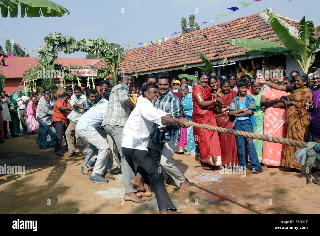 Men playing tug of war and celebrating Pongal festival (Harvest Festival) at Coimbatore ; Tamil Nadu ; India Stock Photo