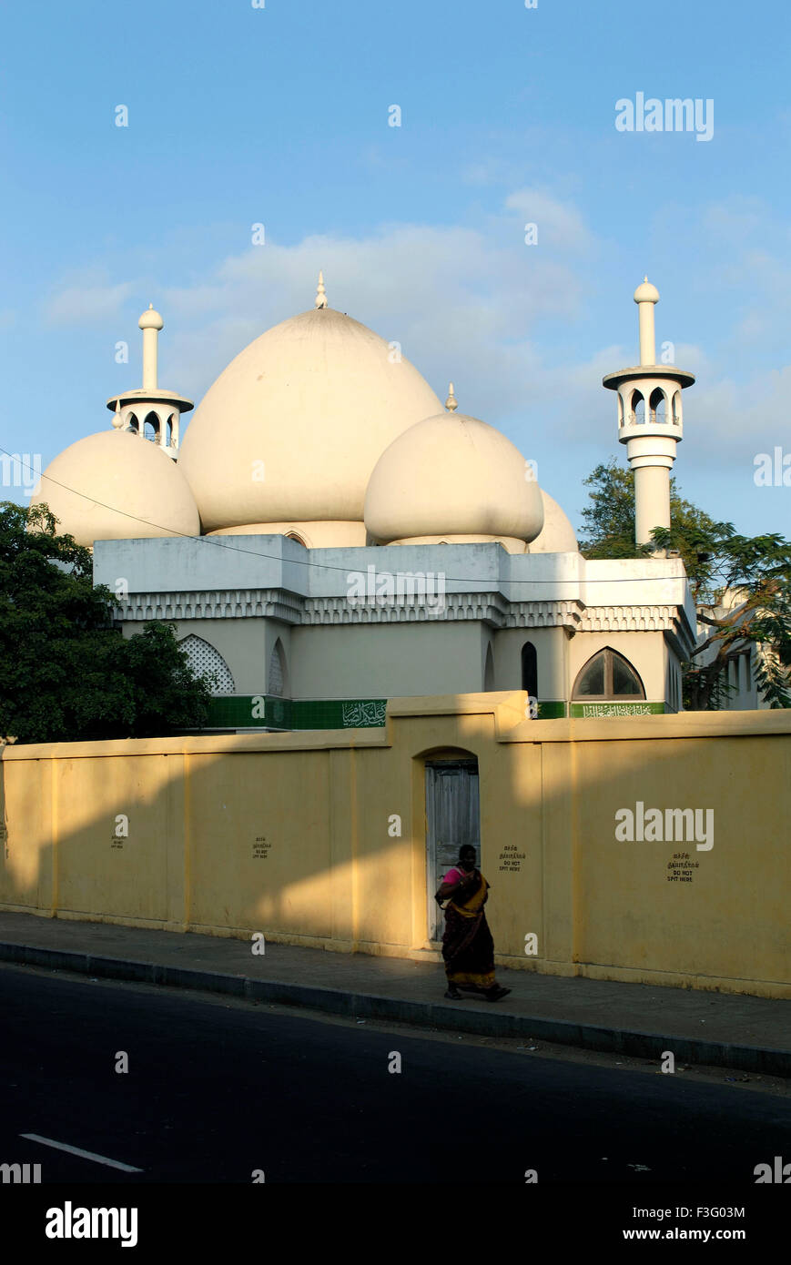 Sacred mosque (built in 1810) in Chennai ; Tamil Nadu ; India Stock Photo