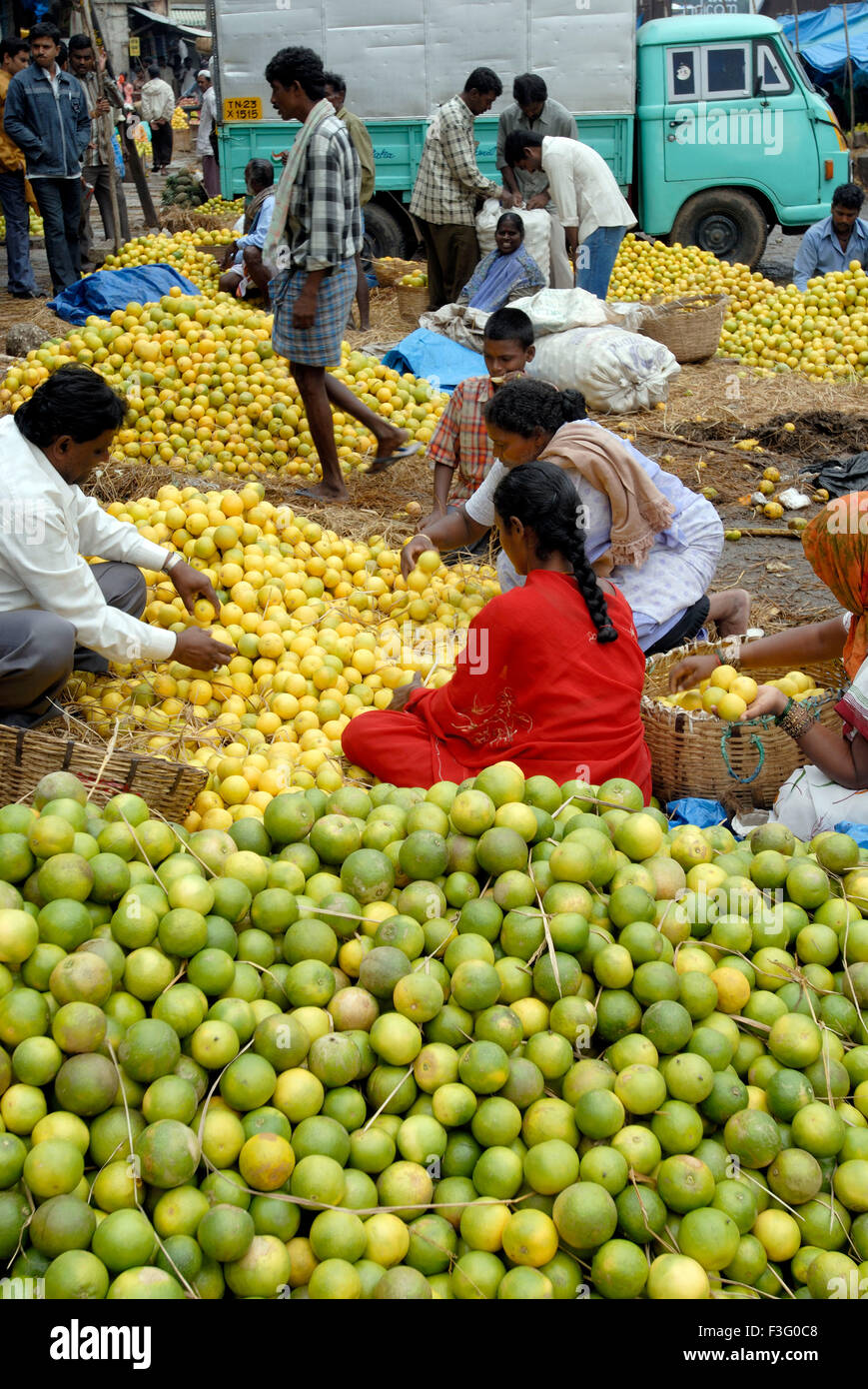 City fruits and vegetables market ; Bangalore ; Karnataka ; India Stock