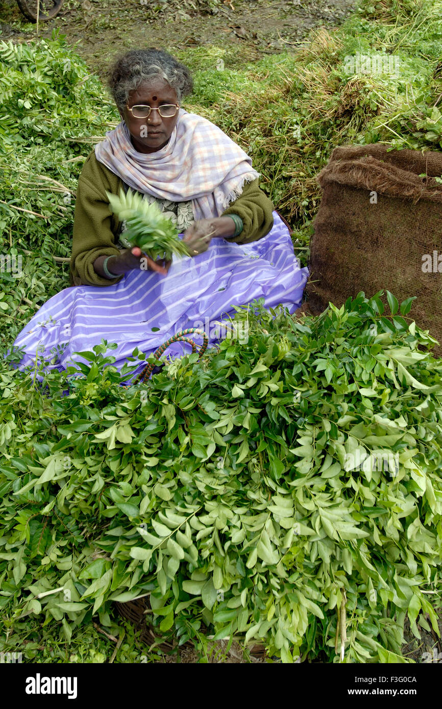 City fruits and vegetables market ; Bangalore ; Karnataka ; India Stock