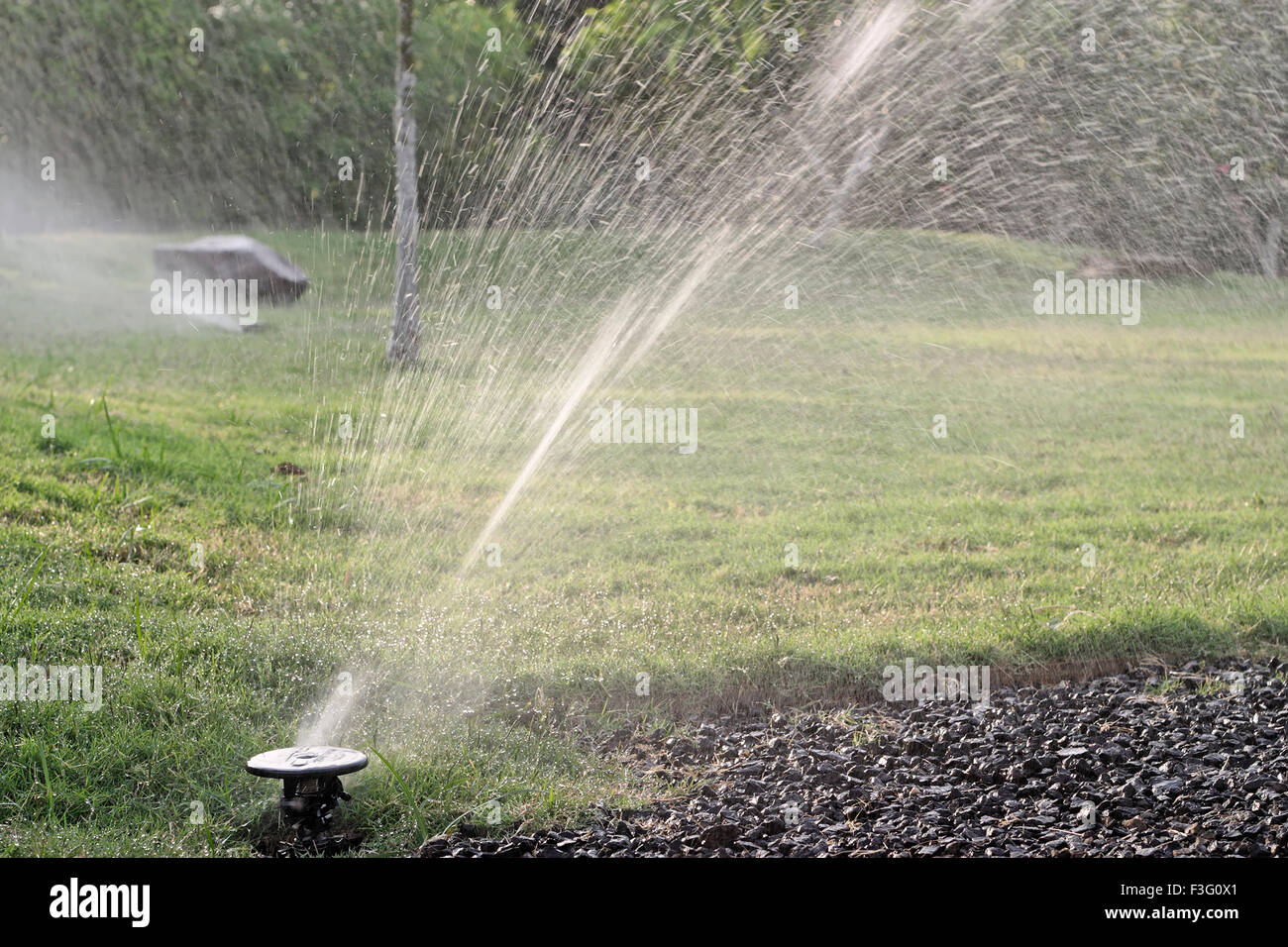 Sprinkler irrigation ; India ; Asia Stock Photo - Alamy