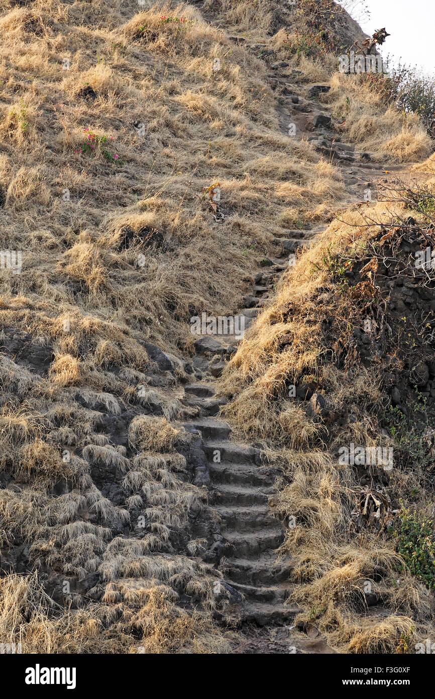 Steps carved in stone ; fort Sinhagadh ; Pune ; Maharashtra ; India Stock Photo
