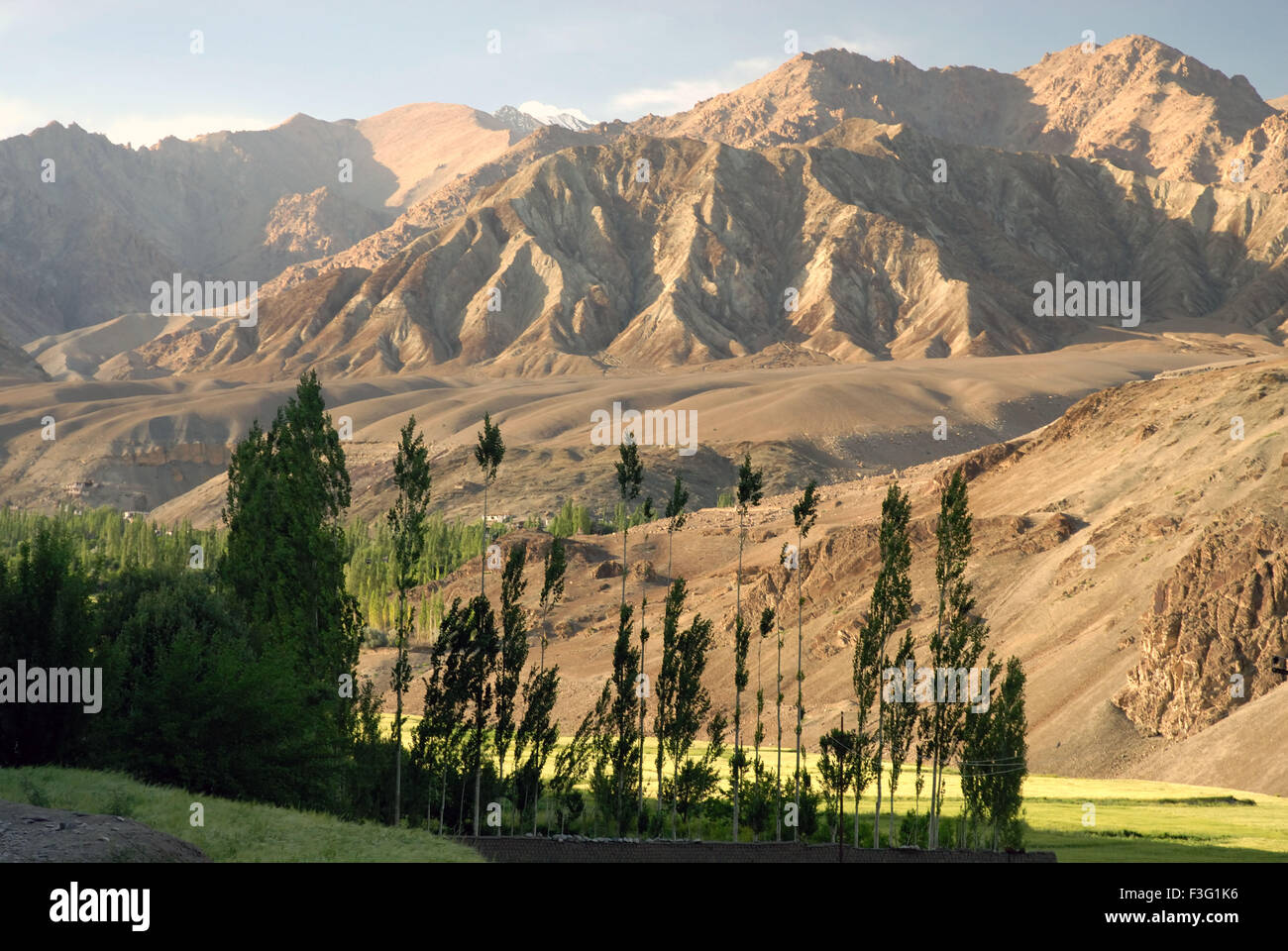Landscape ; Alchi ; Likir ; Leh ; Ladakh ; Jammu and Kashmir ; Union Territory ; UT ;  India ; Asia Stock Photo