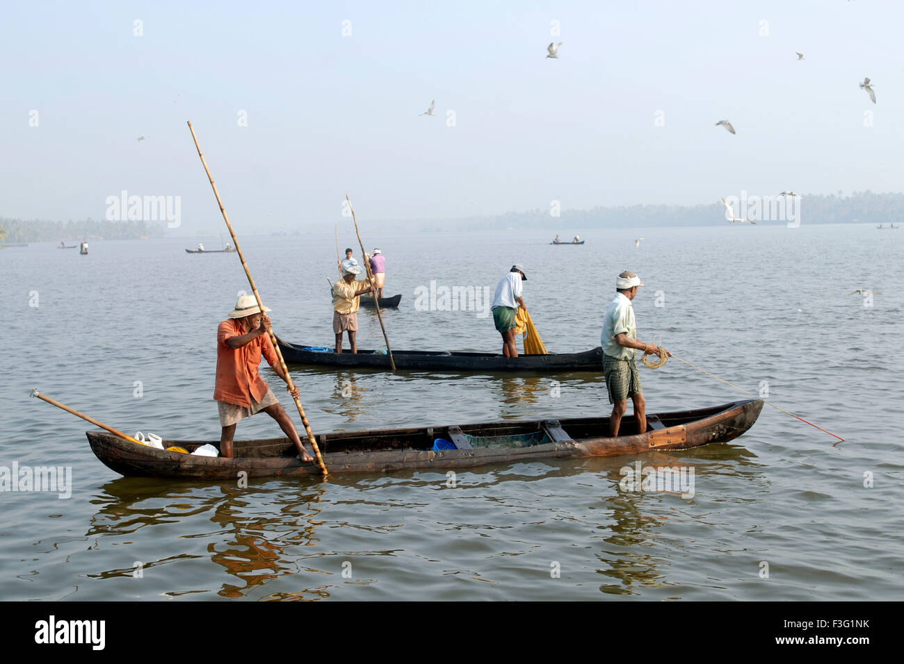 Fishing, Cherai backwater, Vypeen Island, Ernakulam, Kerala, India, Asia Stock Photo Alamy