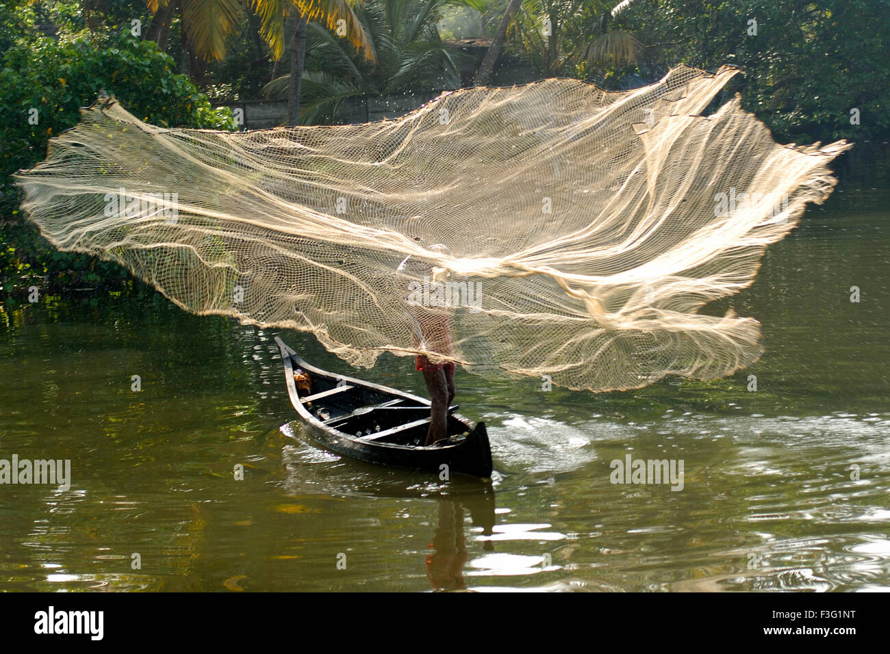 Fishing, Cherai backwater, Vypeen Island, Ernakulam, Kerala, India, Asia Stock Photo Alamy